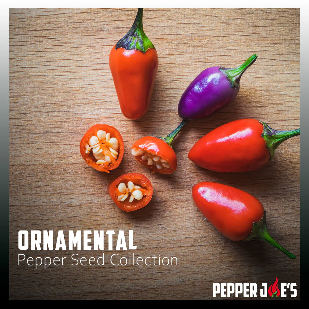 Ornamental Pepper Seed Collection - Image 2