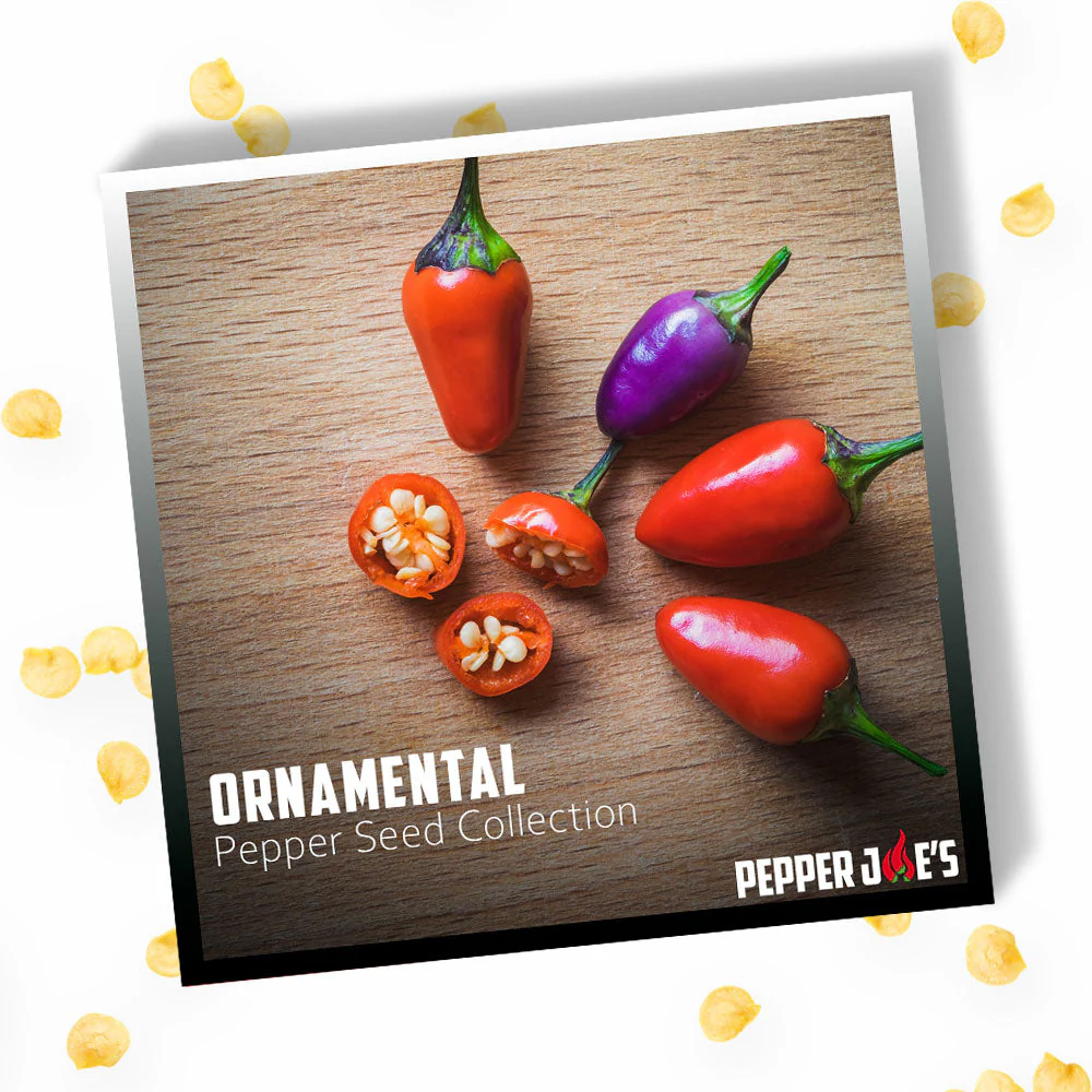 Ornamental Pepper Seed Collection - Image 3