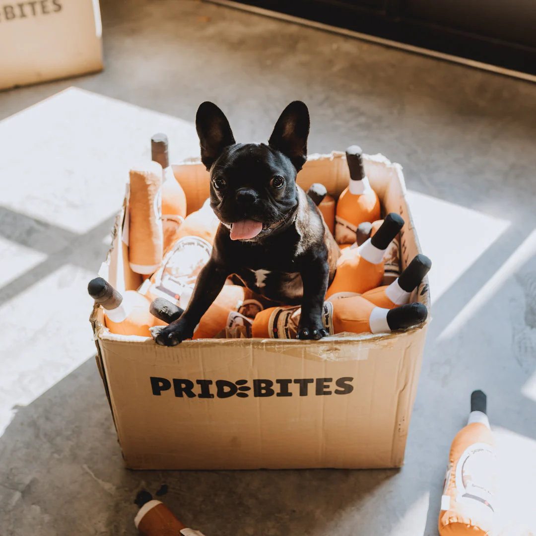 Pappy Bottle Canvas Dog Toy - Image 2