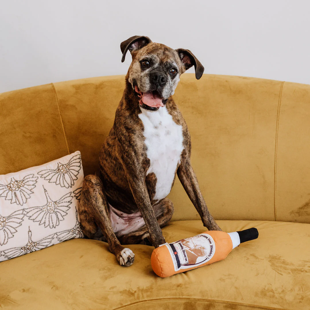 Pappy Bottle Canvas Dog Toy - Image 3