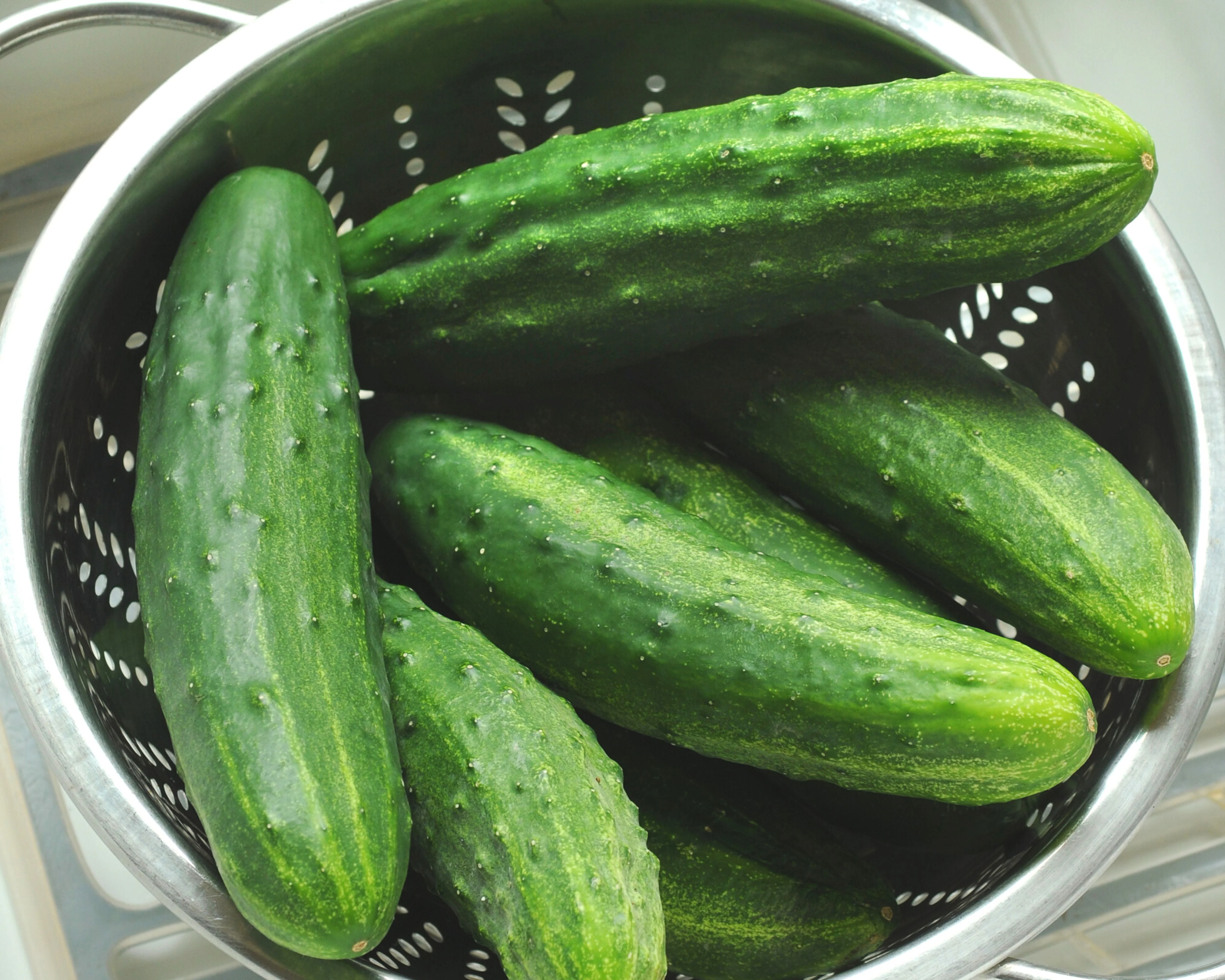Patio Snacker Hybrid Cucumber - Image 2