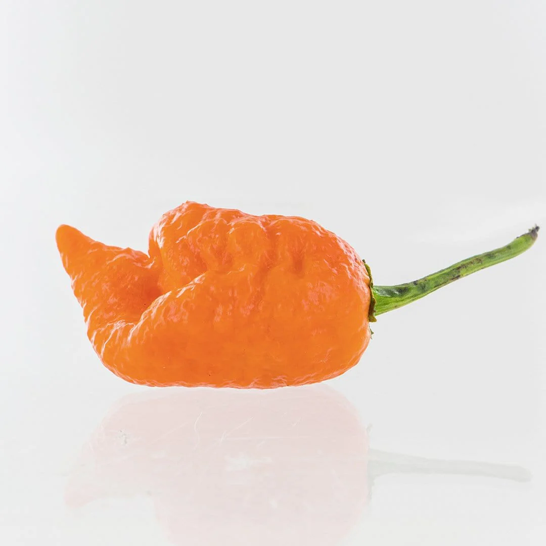 Peach Mutant X Pepper Seeds - Image 2