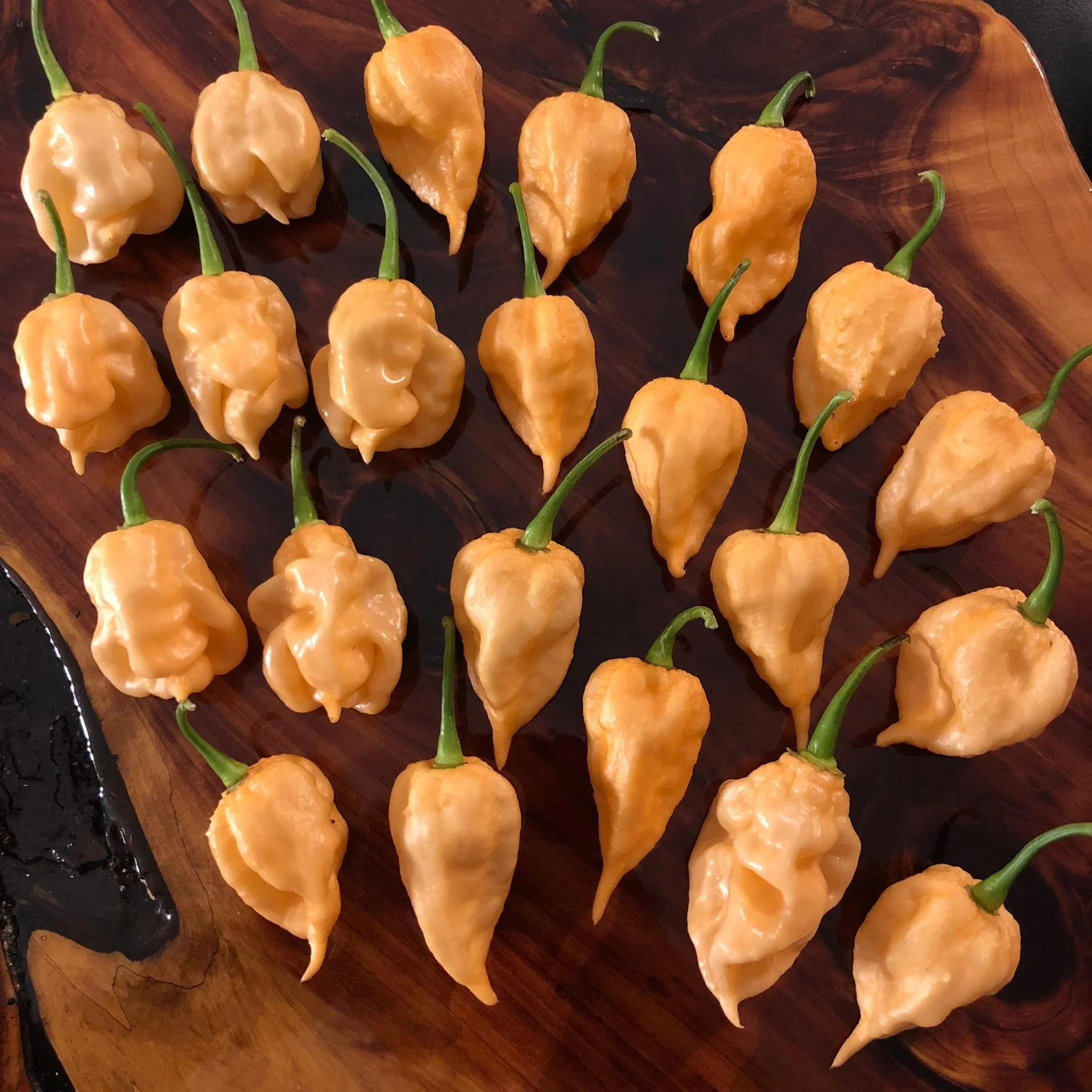 Peach Reaper (California Reaper) - Seeds - Image 7