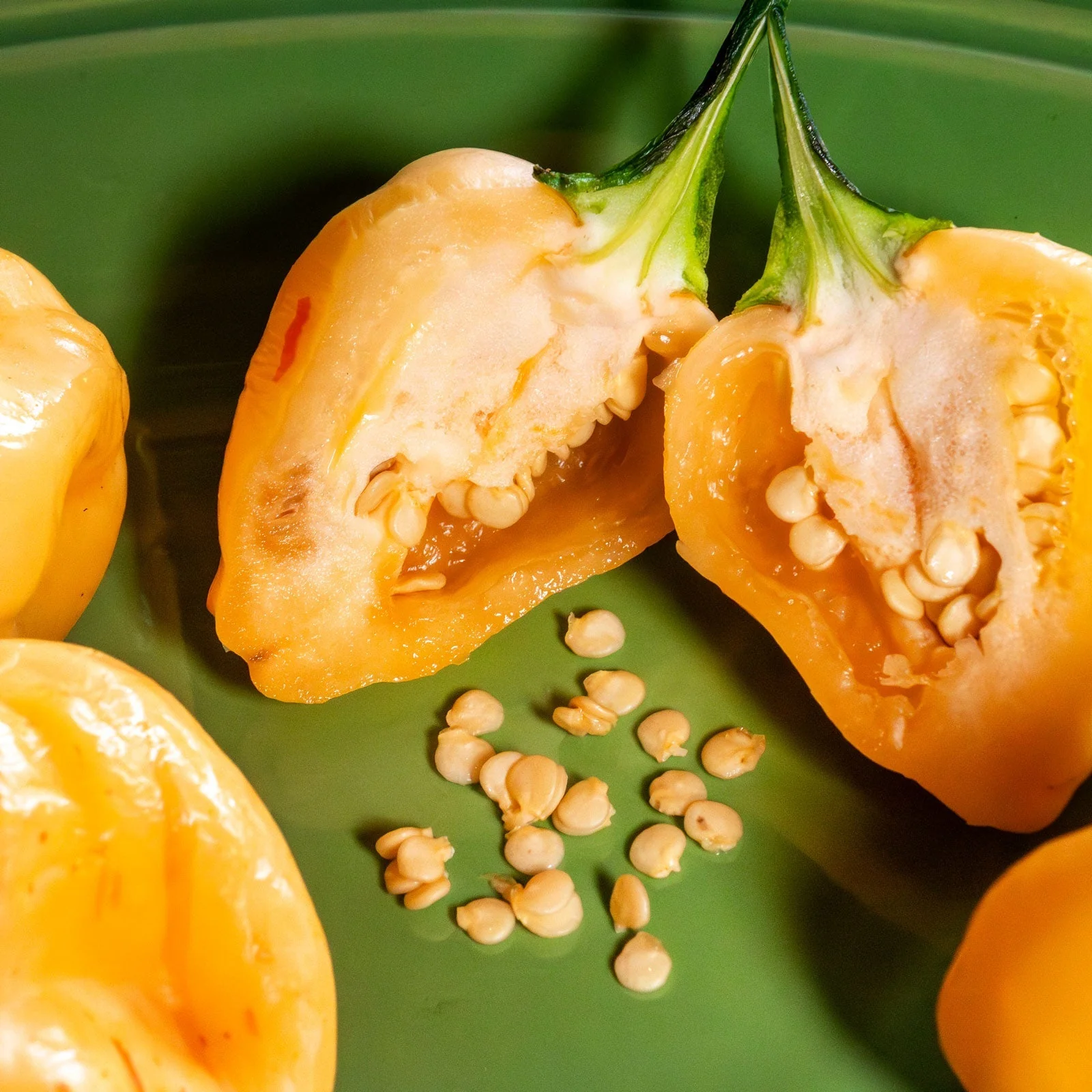 Peachadew Pepper Seeds - Image 3