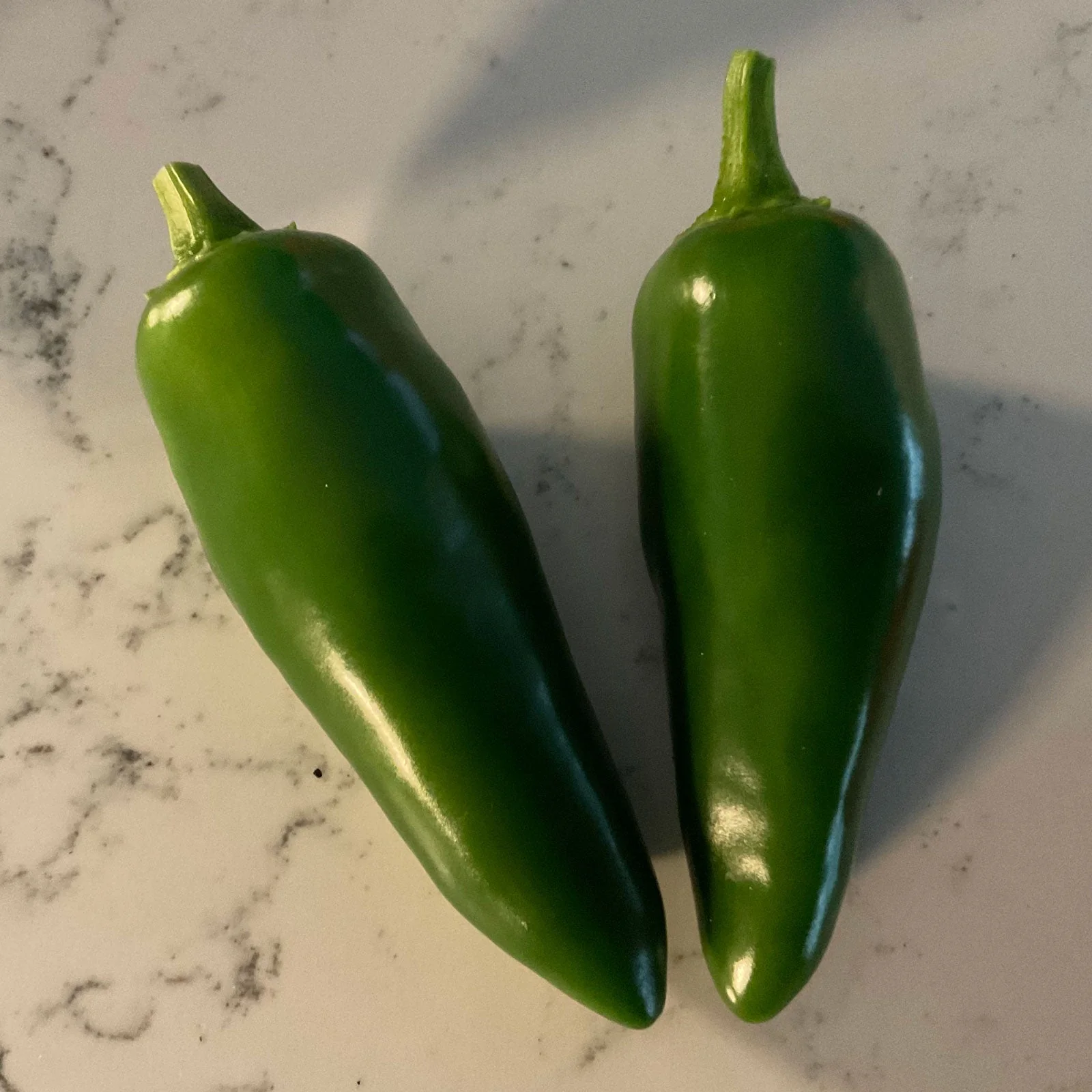 Pepper Joe's Giant Jalapeno Pepper Seeds - Image 3
