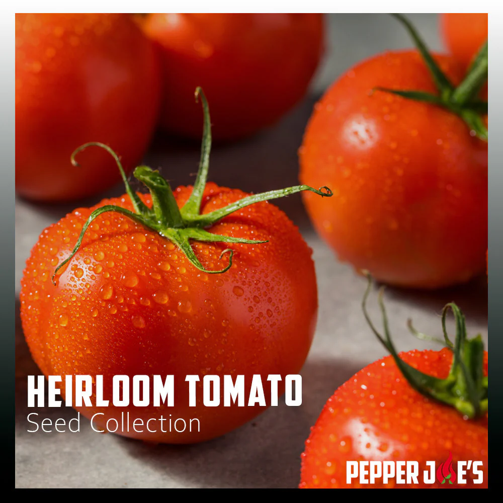 Pepper Joe's Heirloom Tomato Seed Collection - Image 2