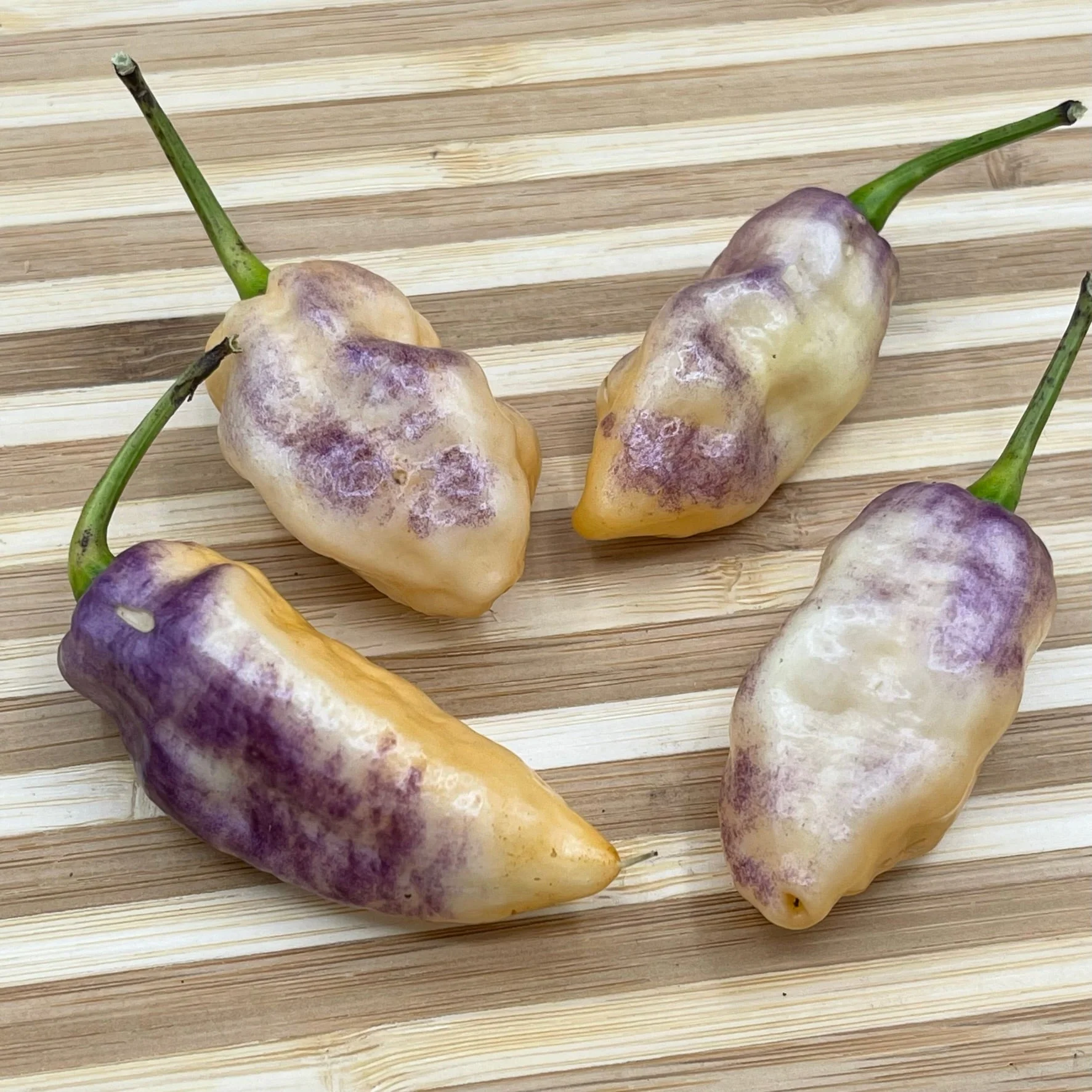 Pimenta Jolokia Fire/Ice - Seeds - Image 3