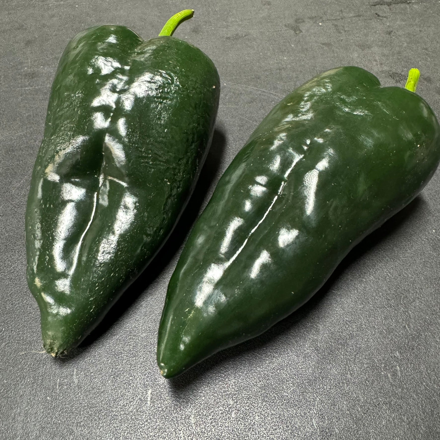 Poblano - Seeds - Image 2