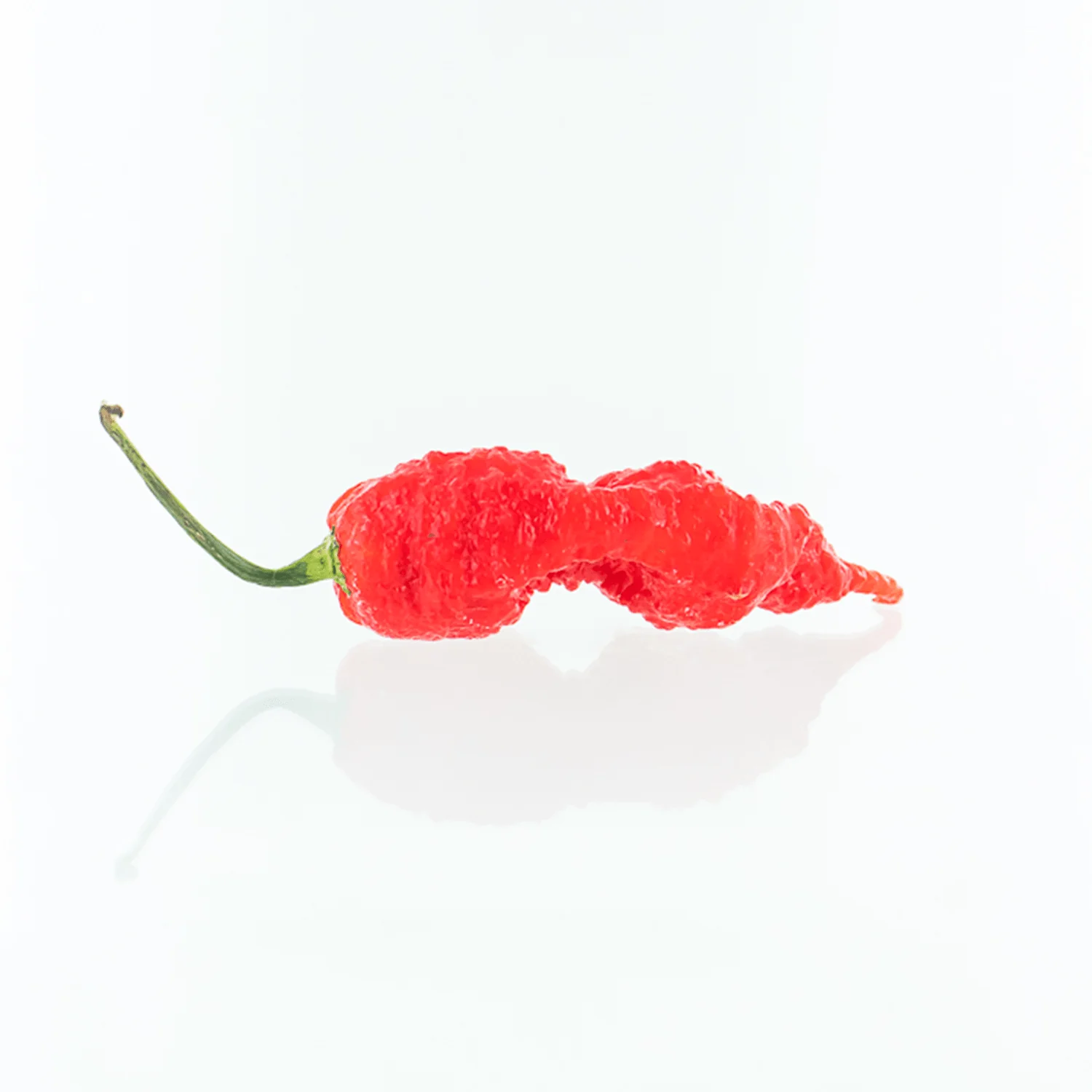 Primotalii Red Pepper Seeds - Image 2