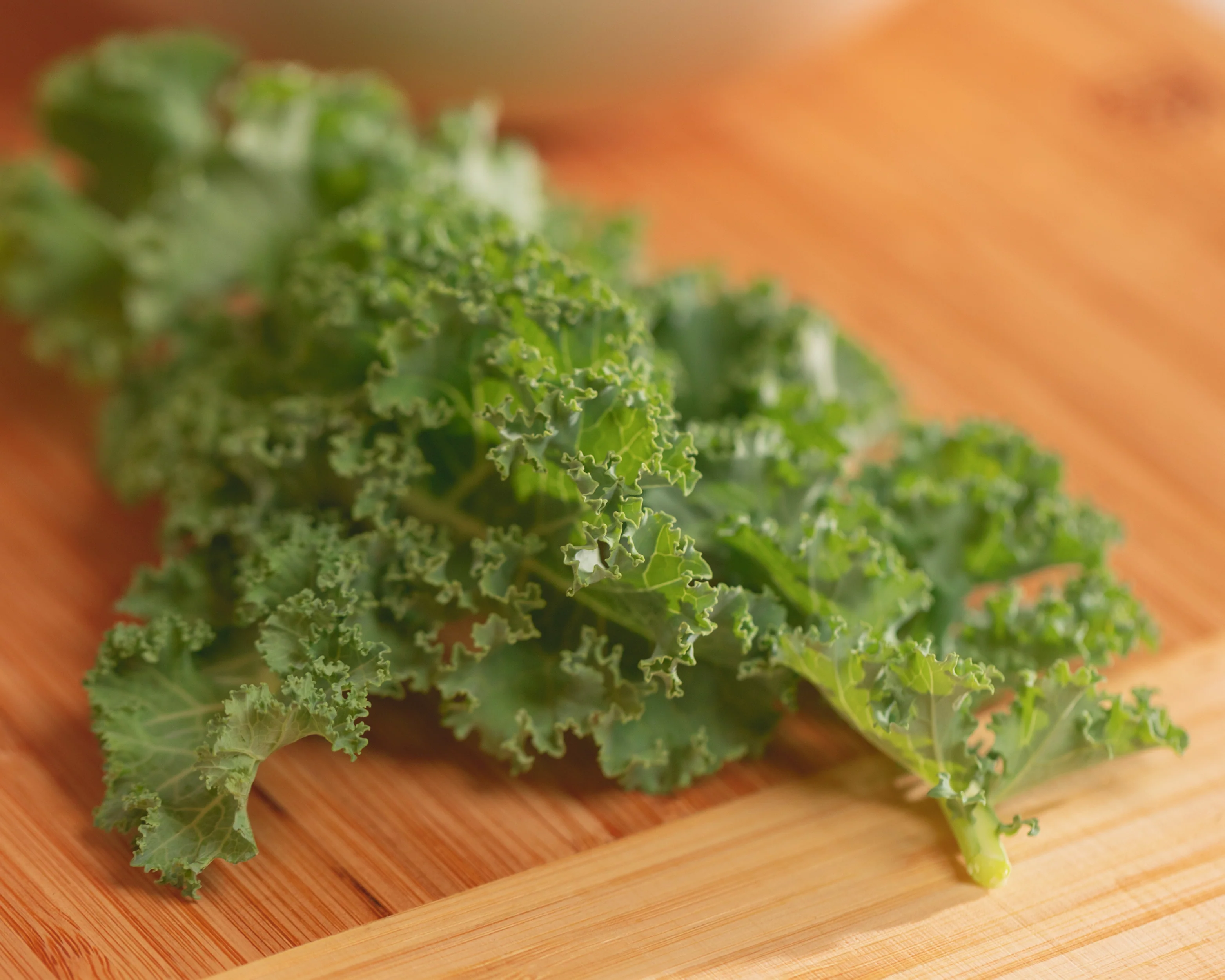 Prizm Hybrid Kale Seeds - Image 4