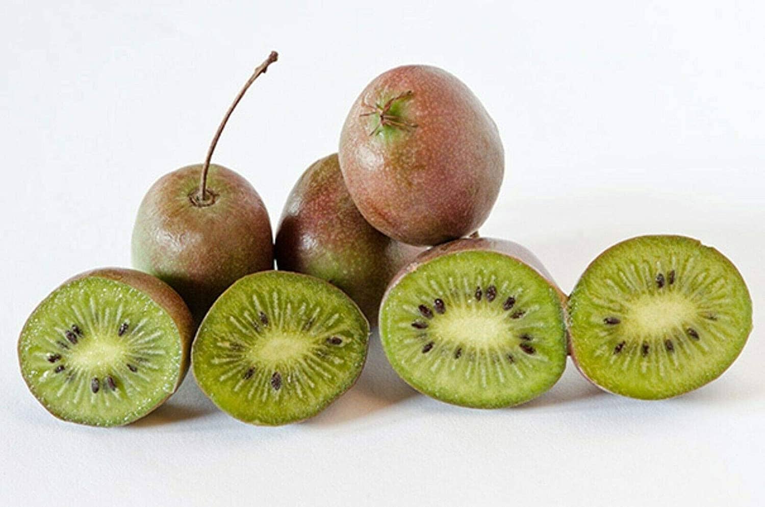 Prolific Kiwi Hardy Plant - Sweet, Tangy Fruits for Your Garden - Image 2
