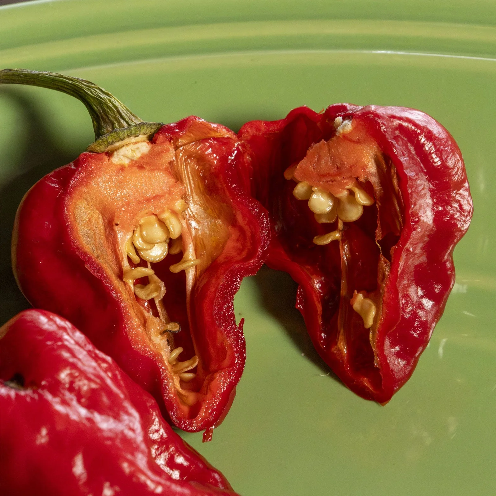 Purple Ghost Scorpion Pepper Seeds - Image 3