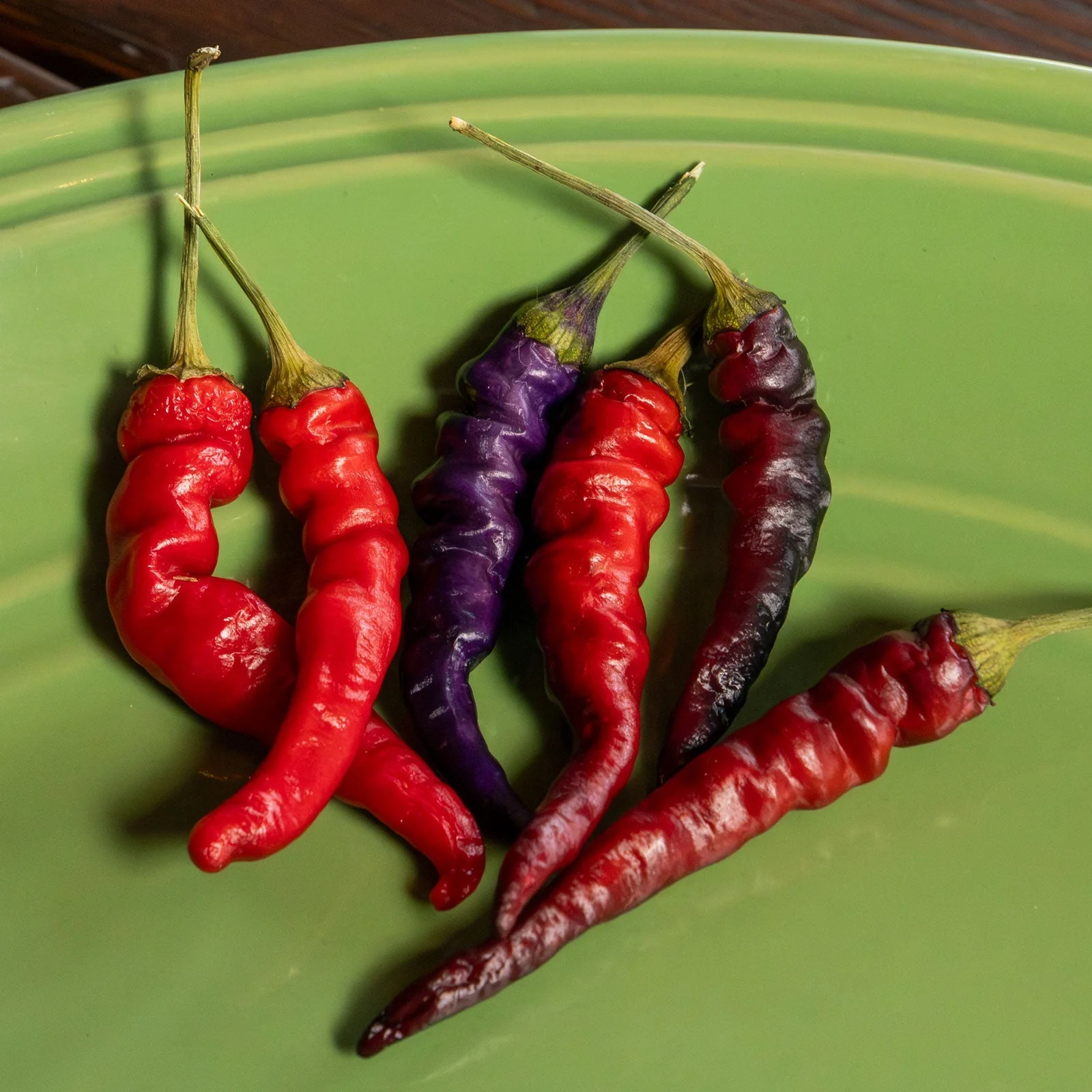 Purple Thai Pepper Seeds - Image 2
