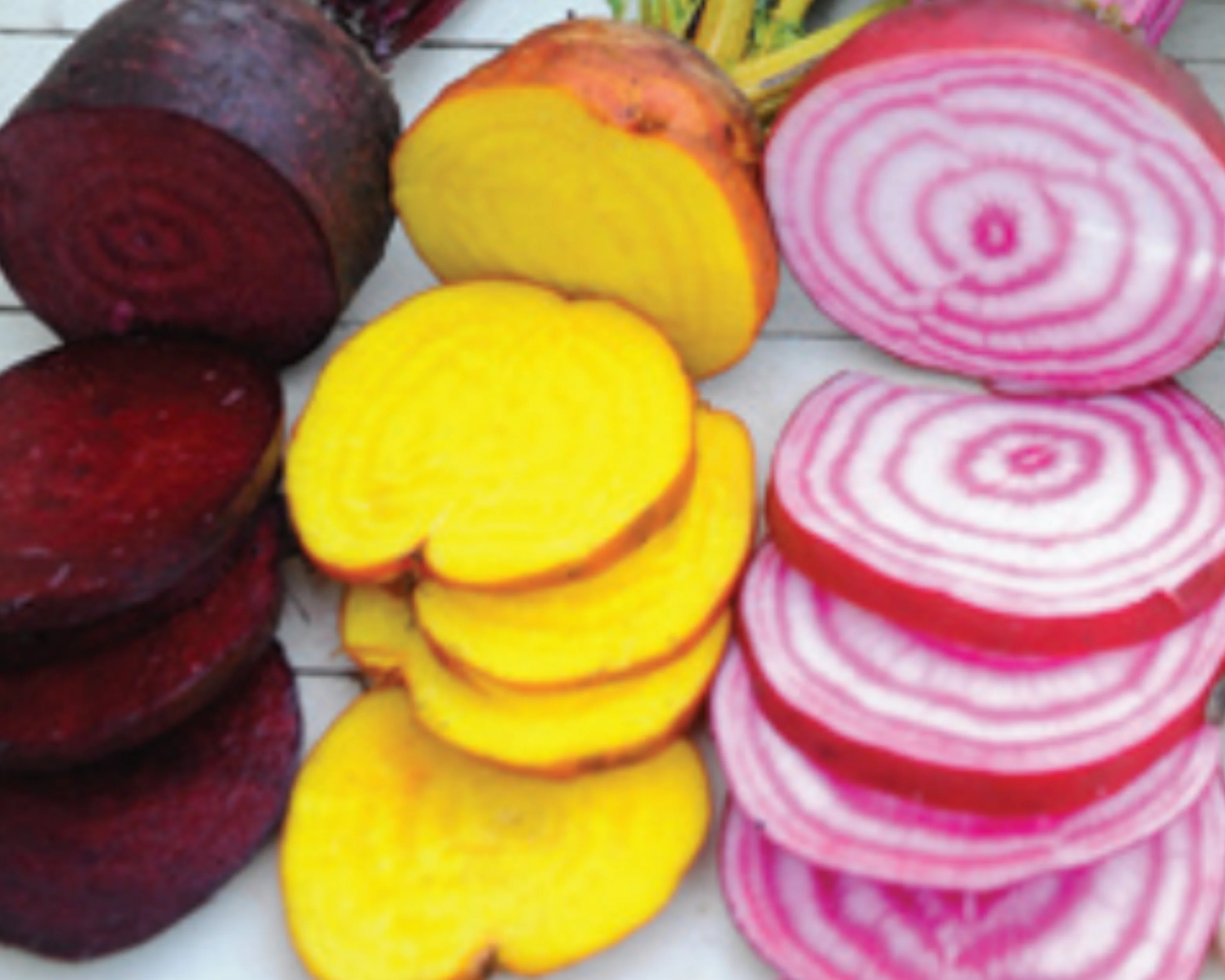 Rainbow Blend Showstopper Beet Seeds - Image 3