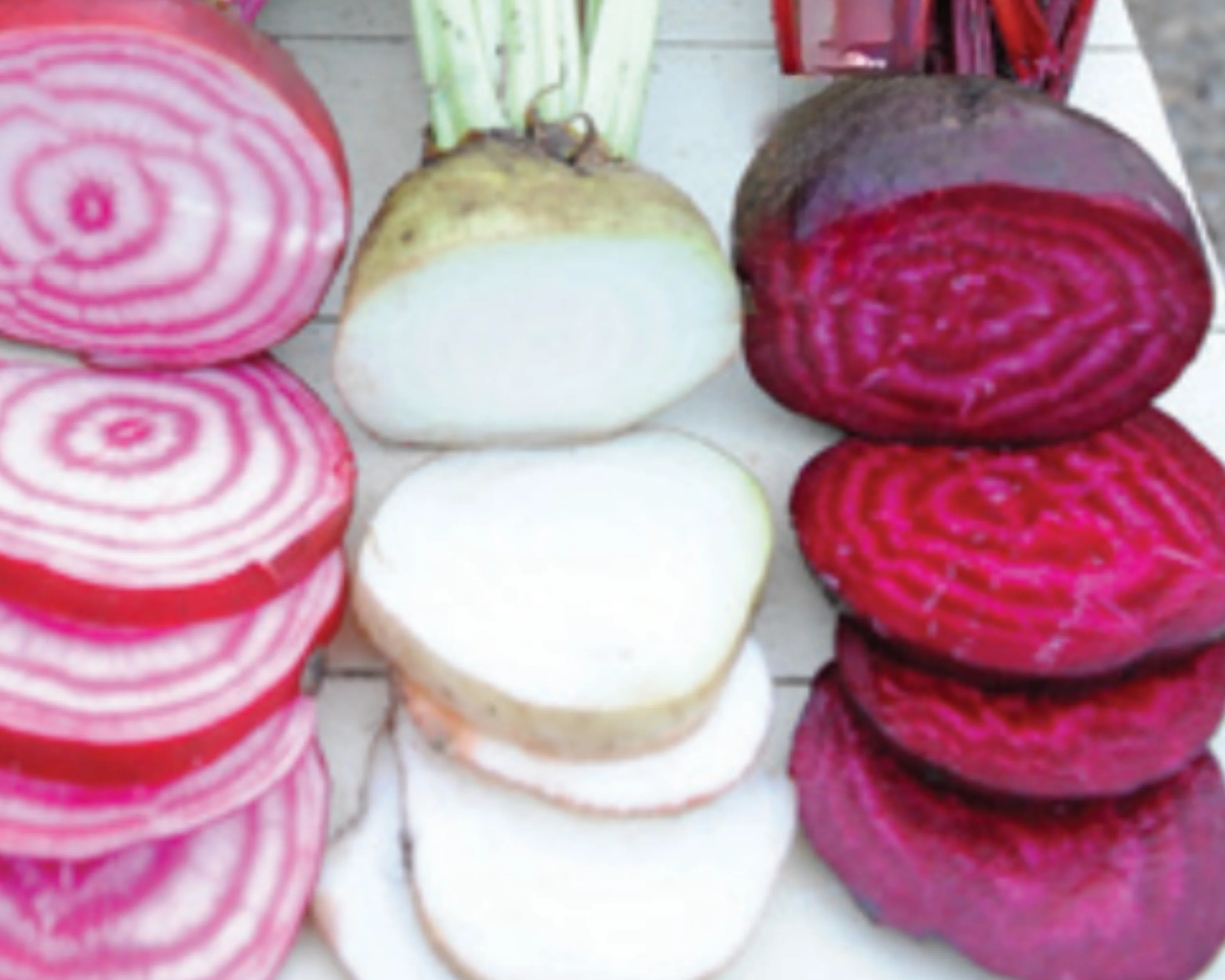 Rainbow Blend Showstopper Beet Seeds - Image 4