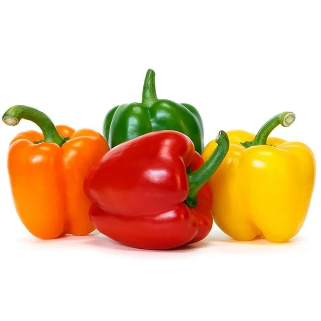 Rainbow Sweet Bell Pepper Seeds Mix - Image 2