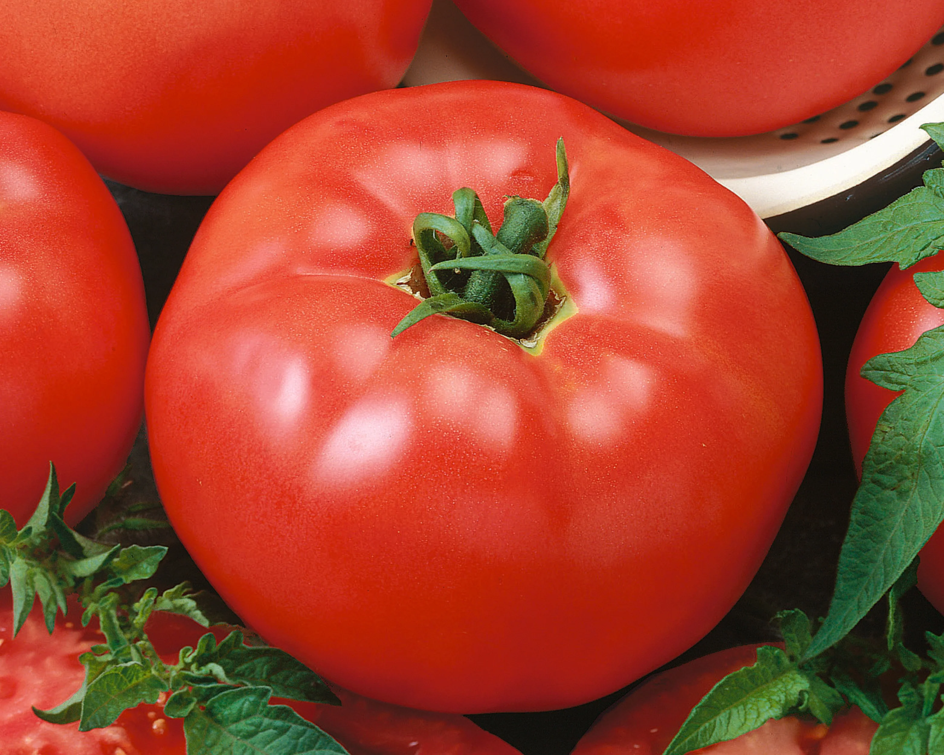 Red Brandymaster Hybrid Tomato Seeds - Image 2
