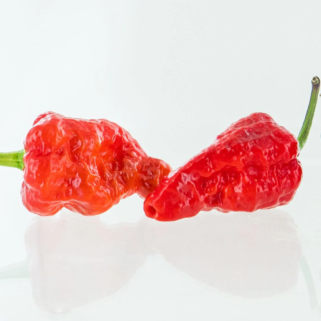 Red Naga Brain Pepper Seeds - Image 2