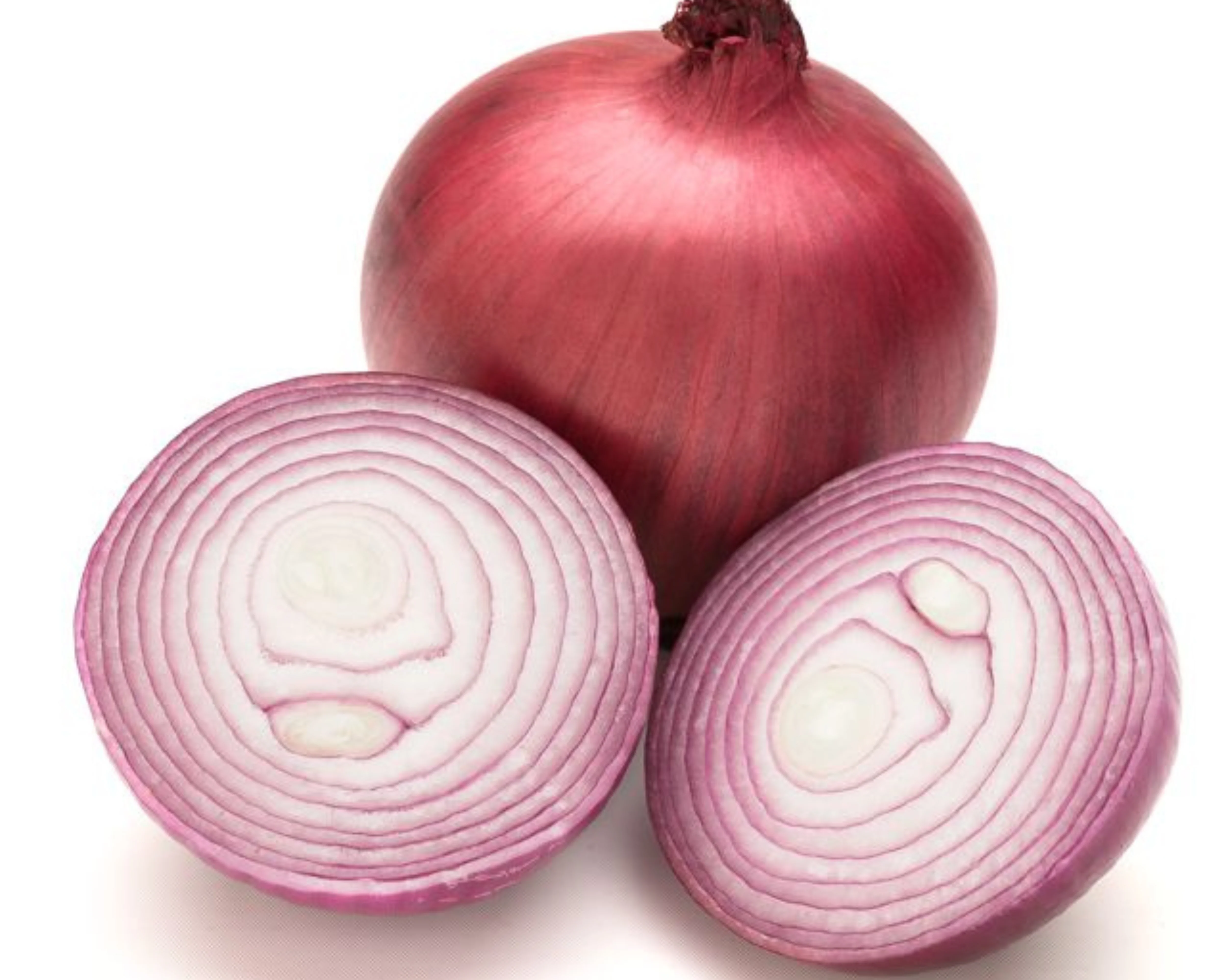 Red Nugent Hybrid Onion - Image 2