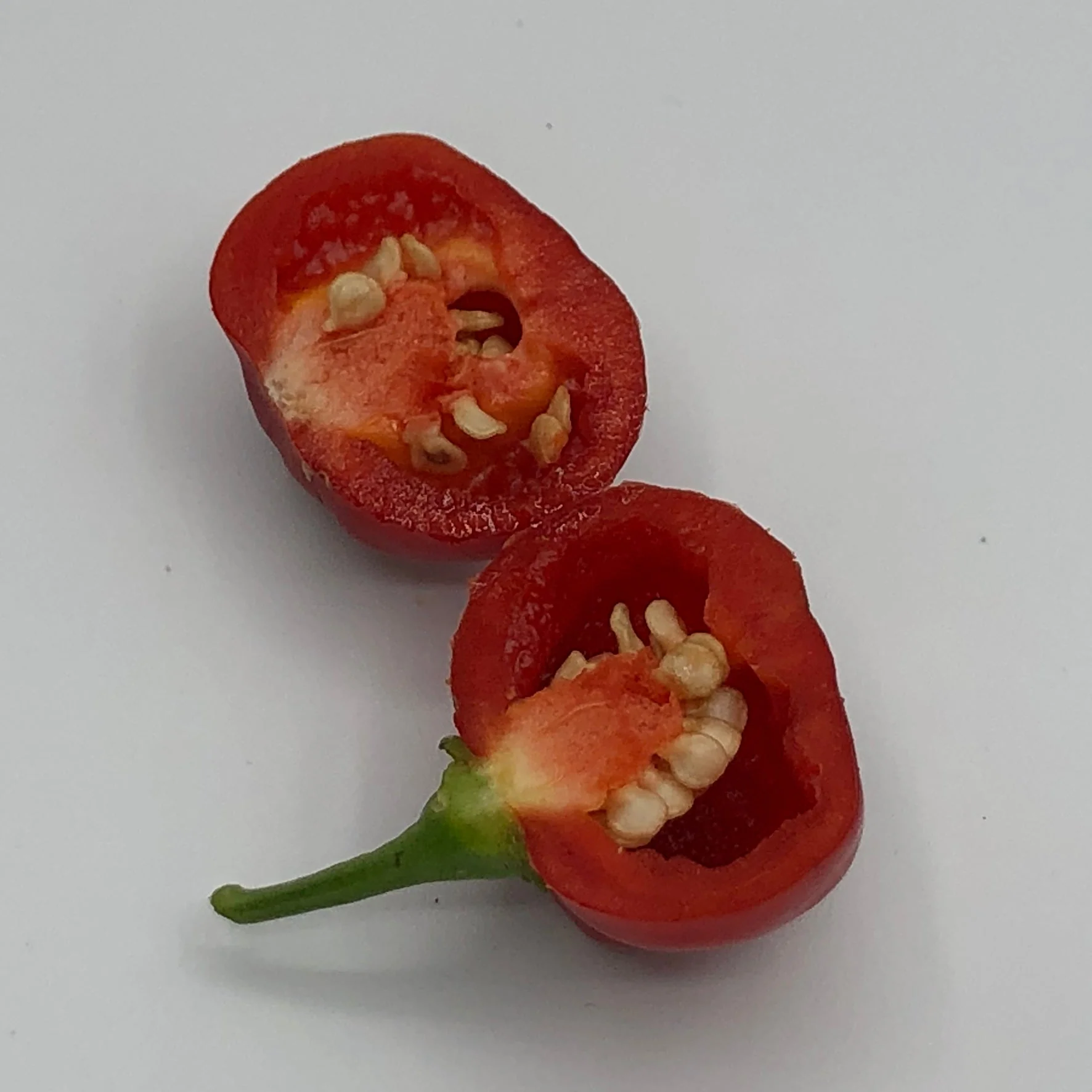 Red Savina - Seeds - Image 4