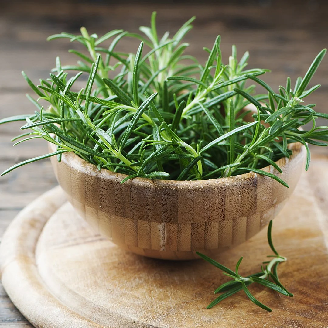 Rosemary Seeds - Image 2