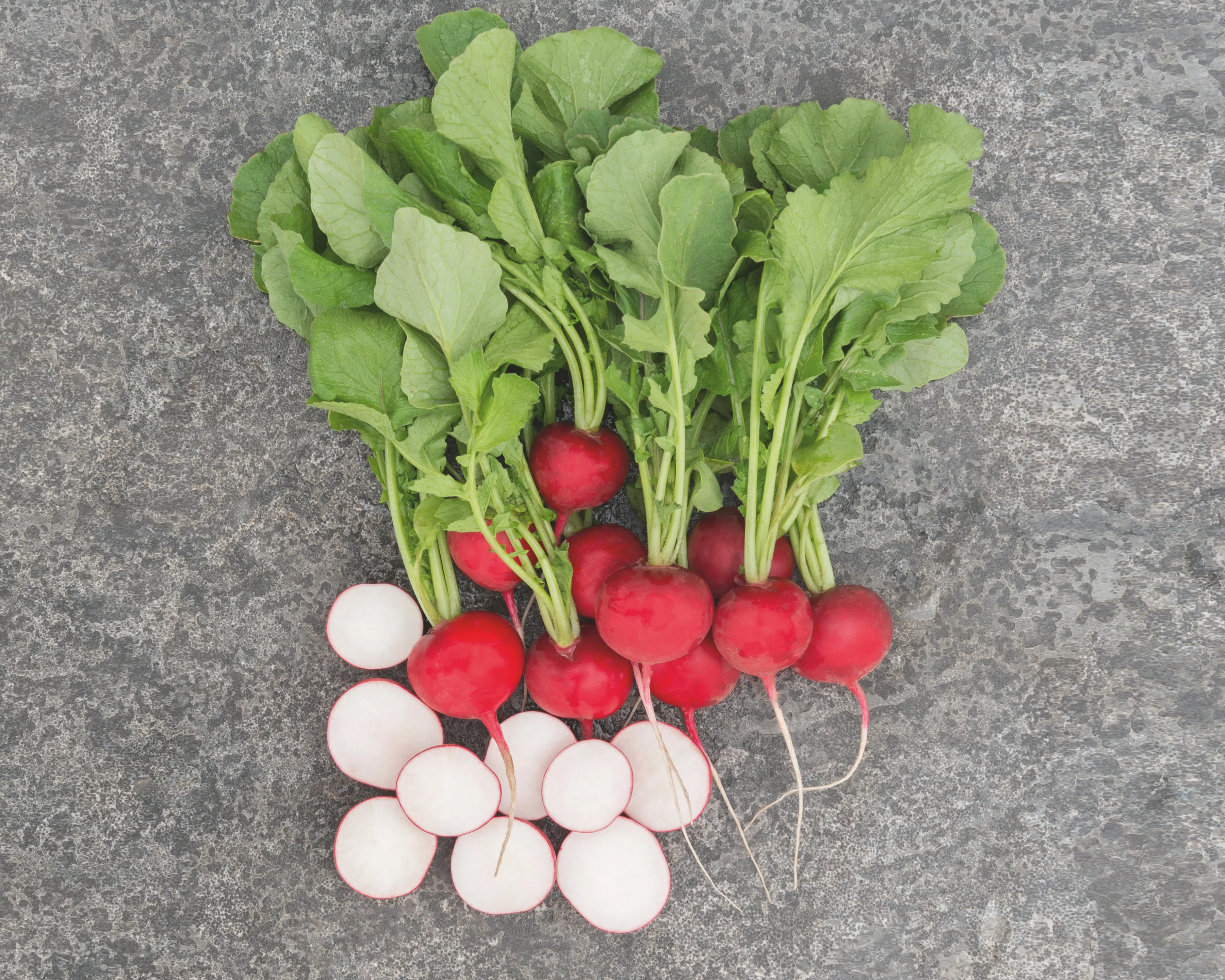 Roxanne Hybrid Radish Seeds - Image 2