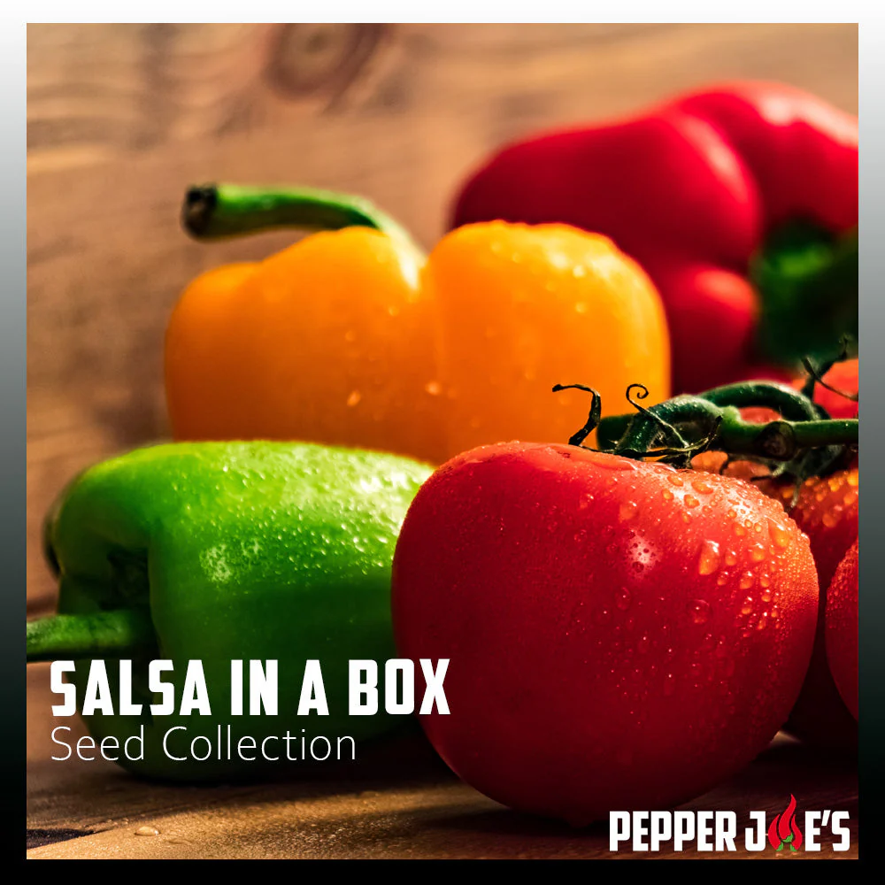 Salsa in a Box Seed Collection - Image 2