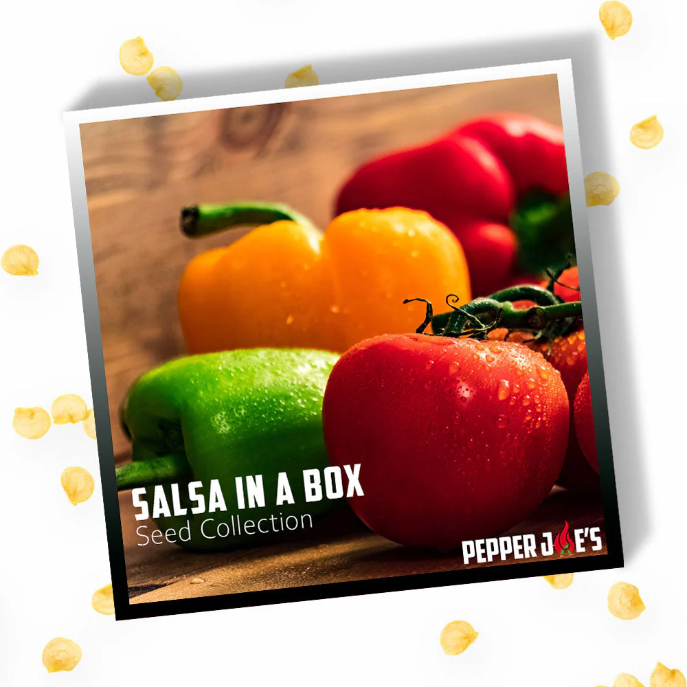 Salsa in a Box Seed Collection - Image 3
