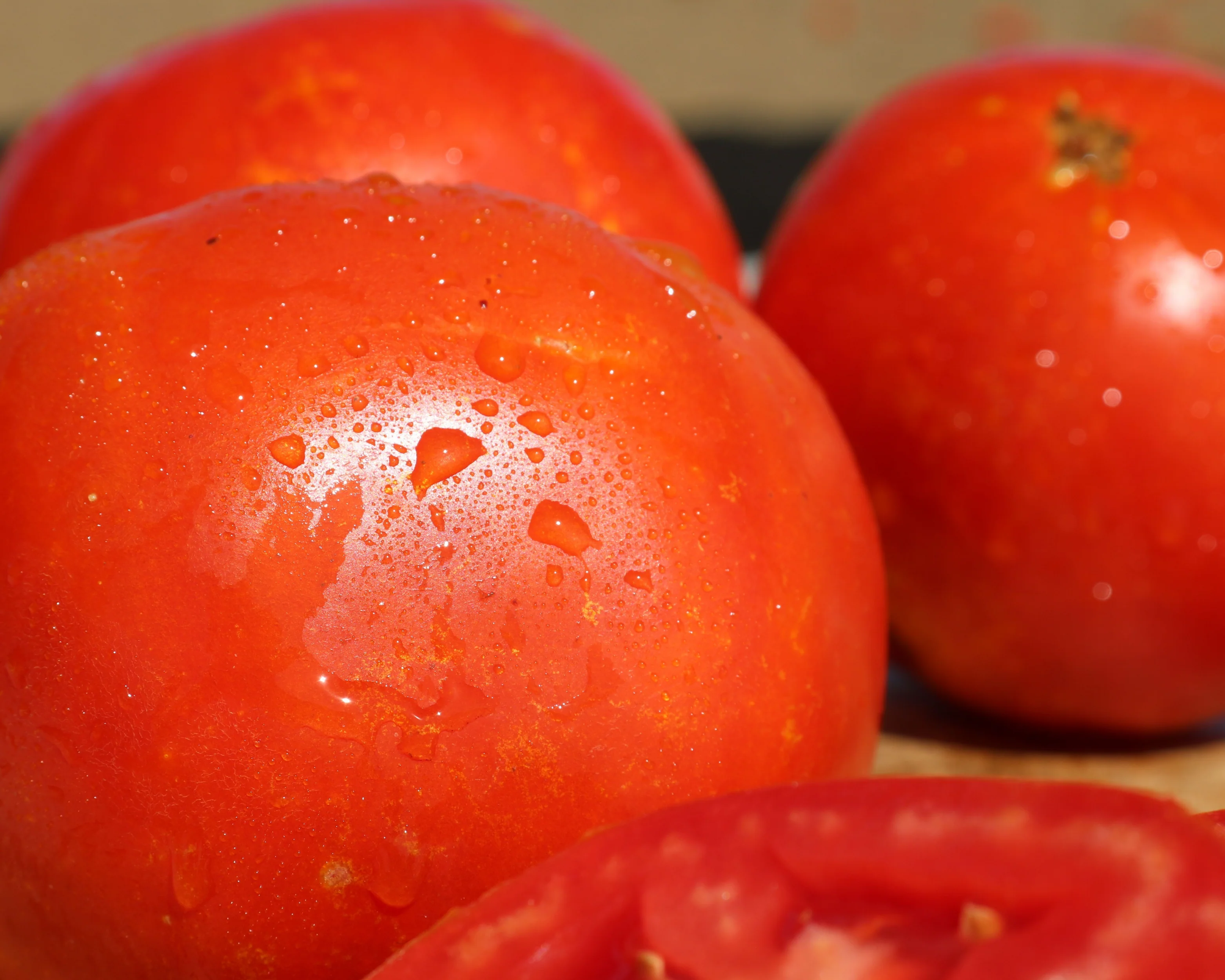 Saybrook Hybrid Tomato Seeds - Image 3