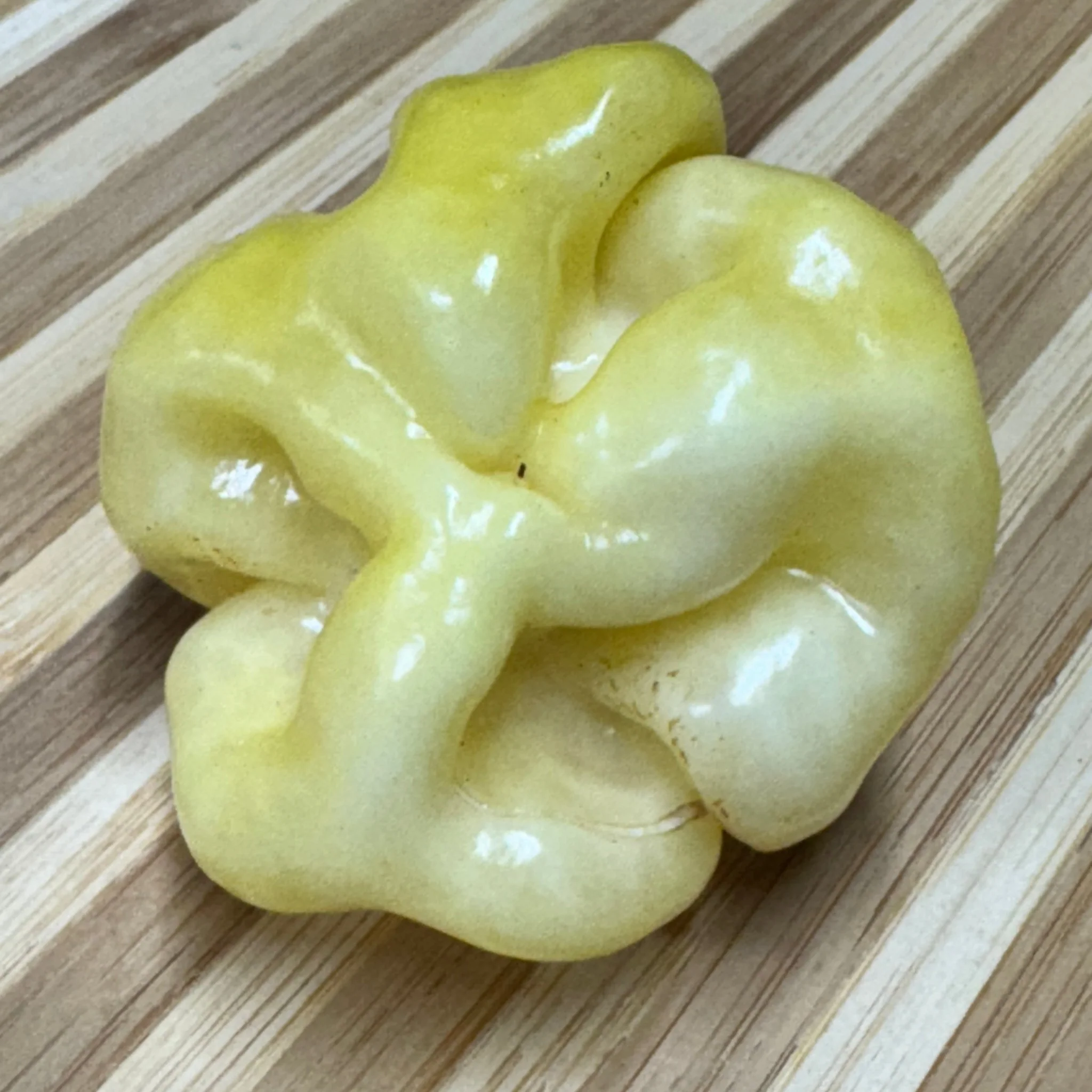 Scotch Bonnet Cream - Seeds - Image 4