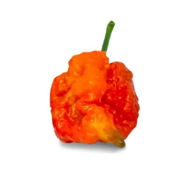 Skunk Red Pepper Seeds - Image 2
