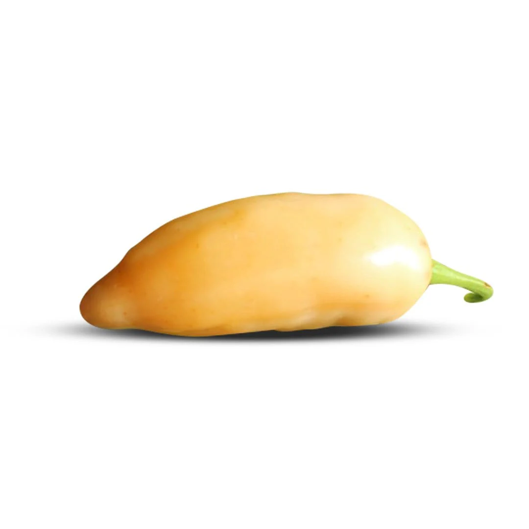 Sugar Rush Peach Pepper Seeds (Non-Isolated) - Image 4
