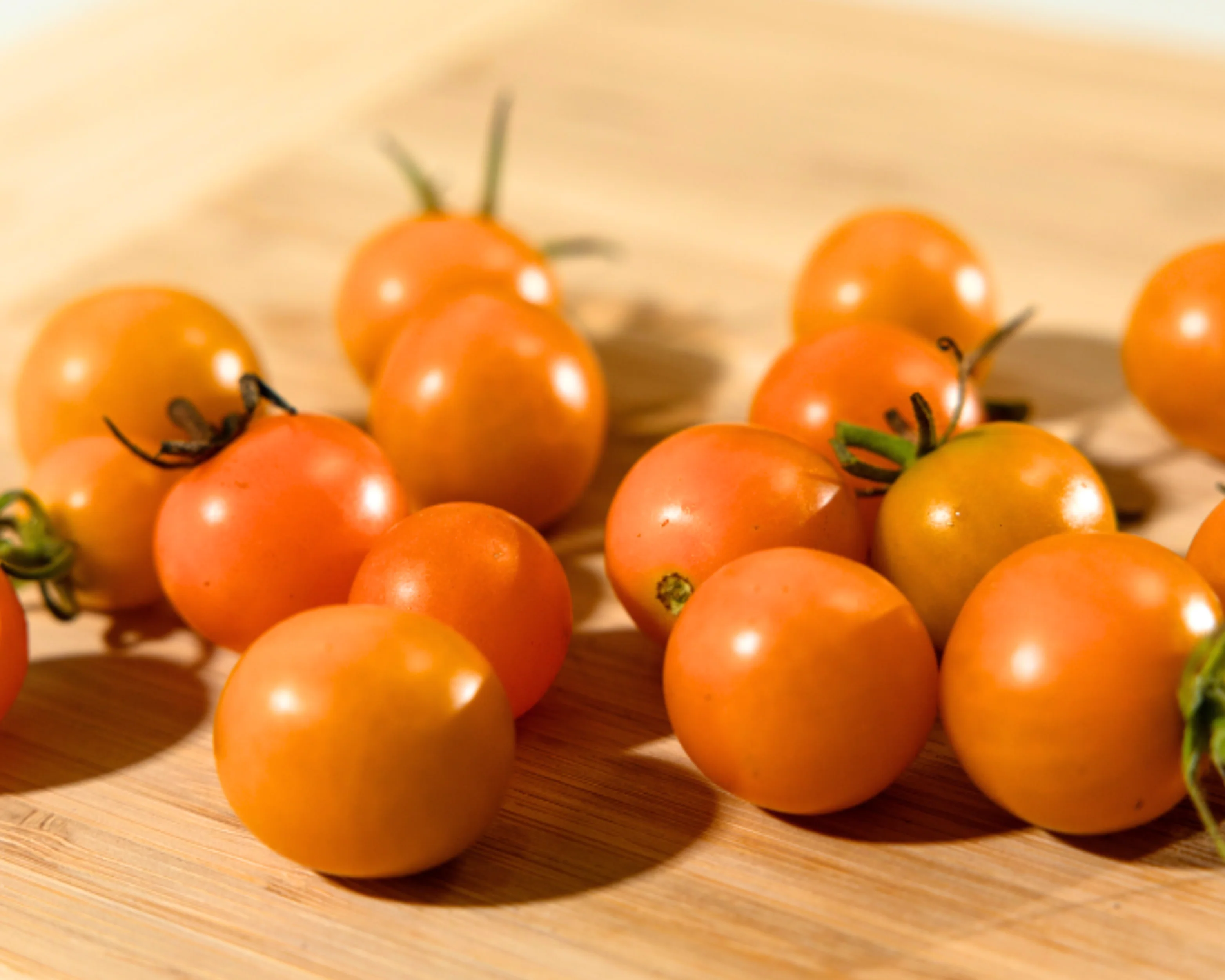 Sun Gold Hybrid Tomato Seeds - Image 2