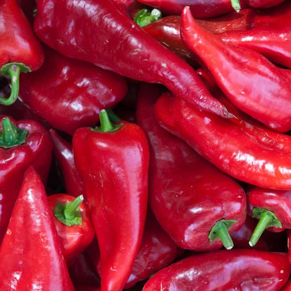 Sweet Crimson Pepper Seeds - Image 2