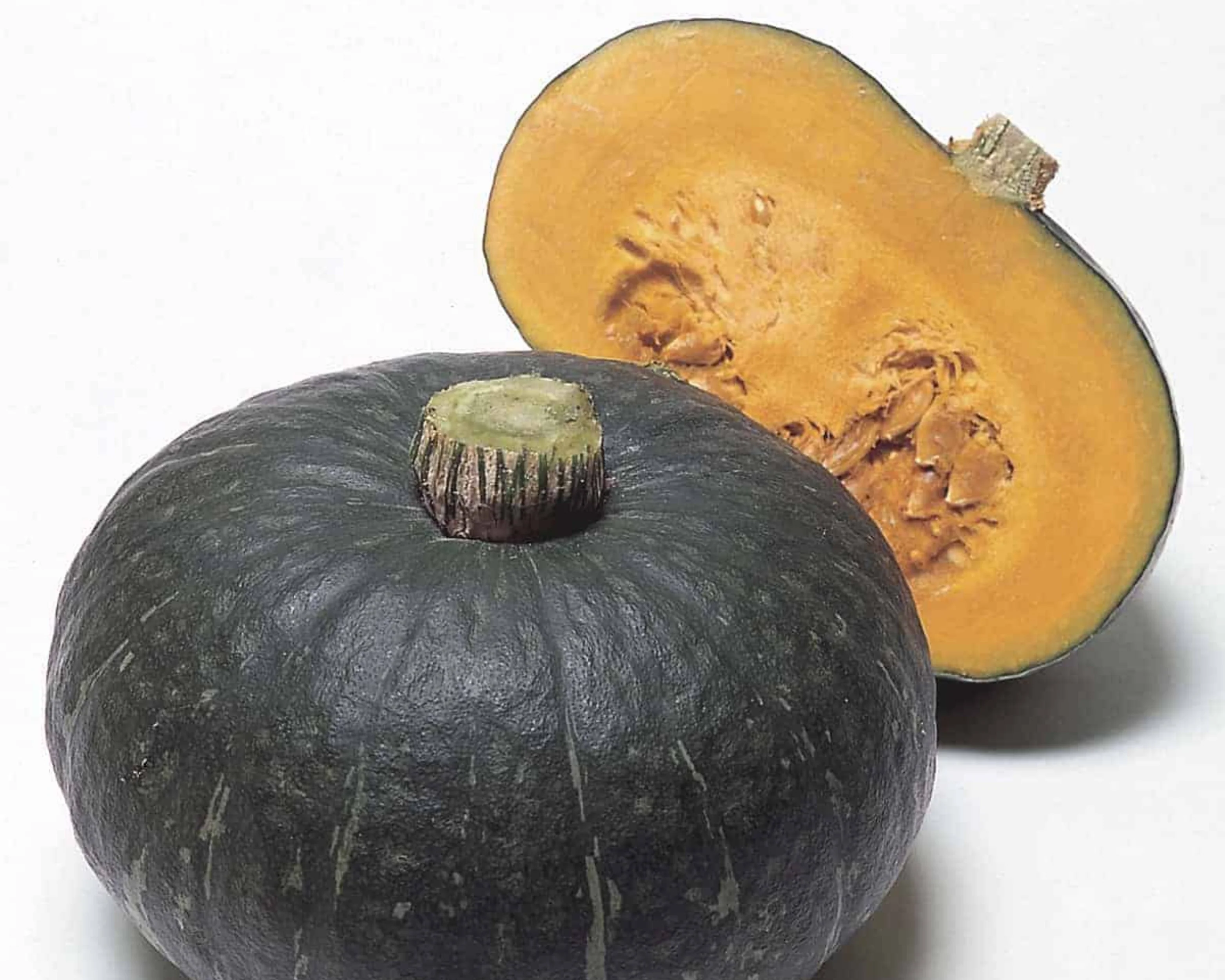 Sweet Mama Hybrid Winter Squash Seeds - Image 2