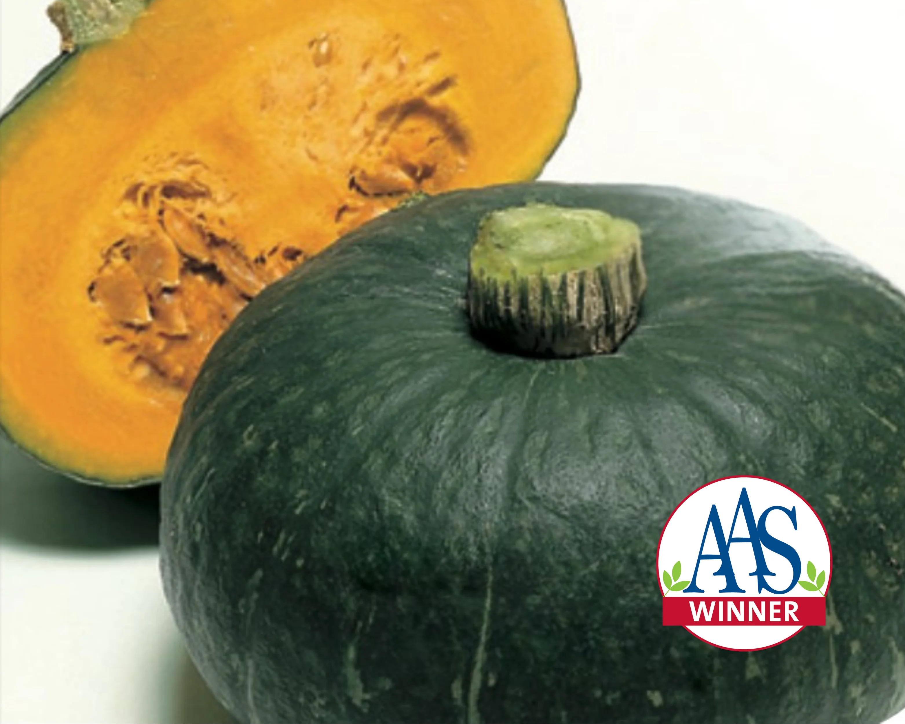 Sweet Mama Hybrid Winter Squash Seeds - Image 3