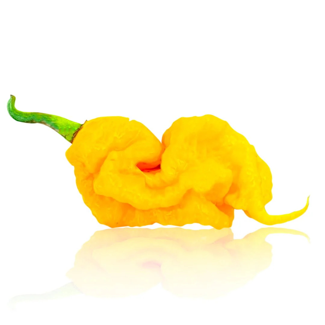 T-Rex Yellow Chili Pepper Seeds - Image 3