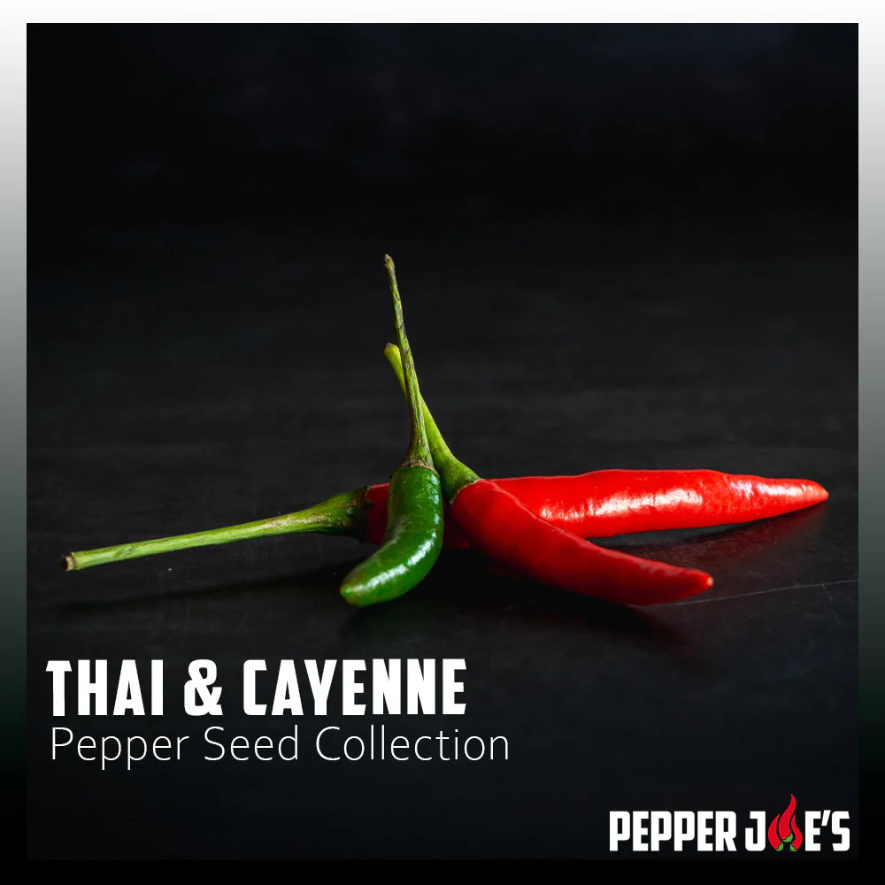 Thai & Cayenne Pepper Seed Collection - Image 2