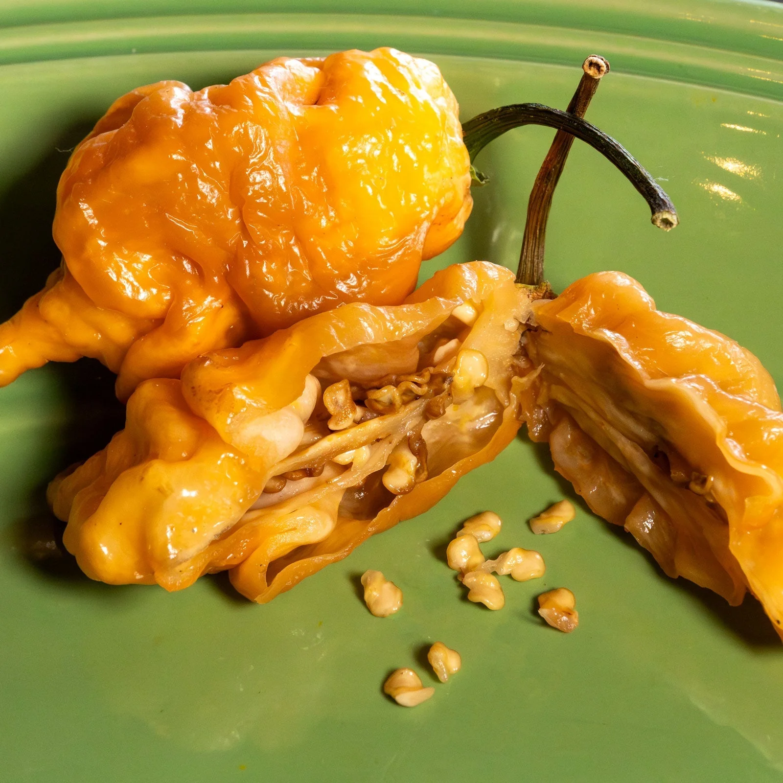 Thors Hammer Peach Pepper Seeds - Image 3