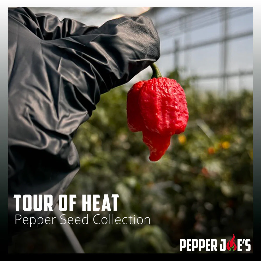Tour of Heat Super Hot Seed Collection - Image 2