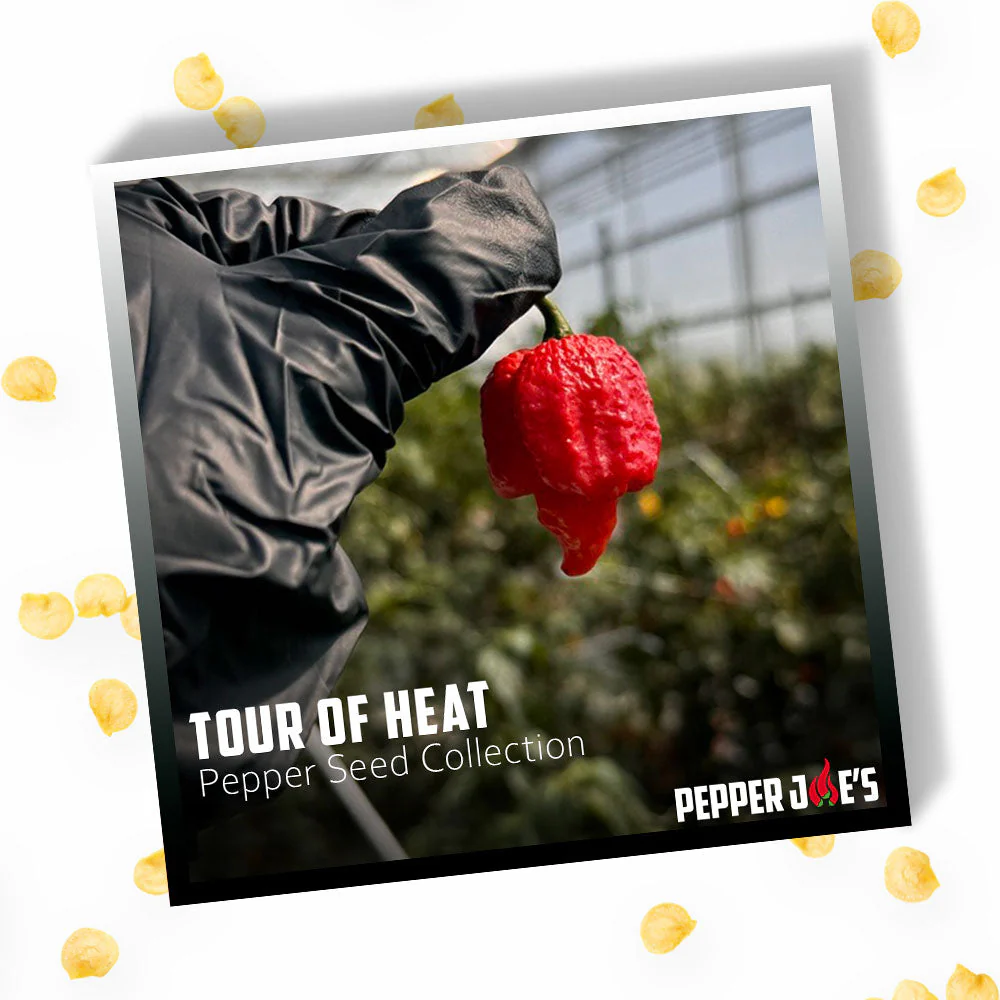 Tour of Heat Super Hot Seed Collection - Image 3