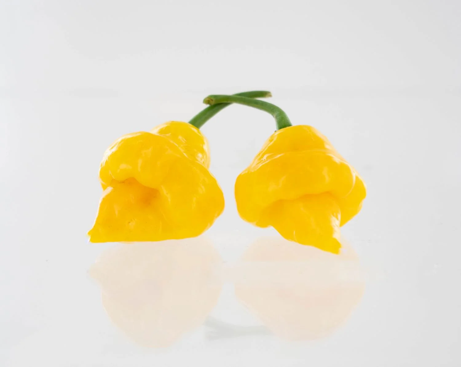 Trinidad Perfume Pepper Seeds - Image 2