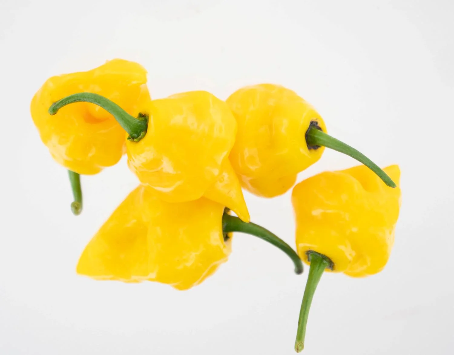 Trinidad Perfume Pepper Seeds - Image 3