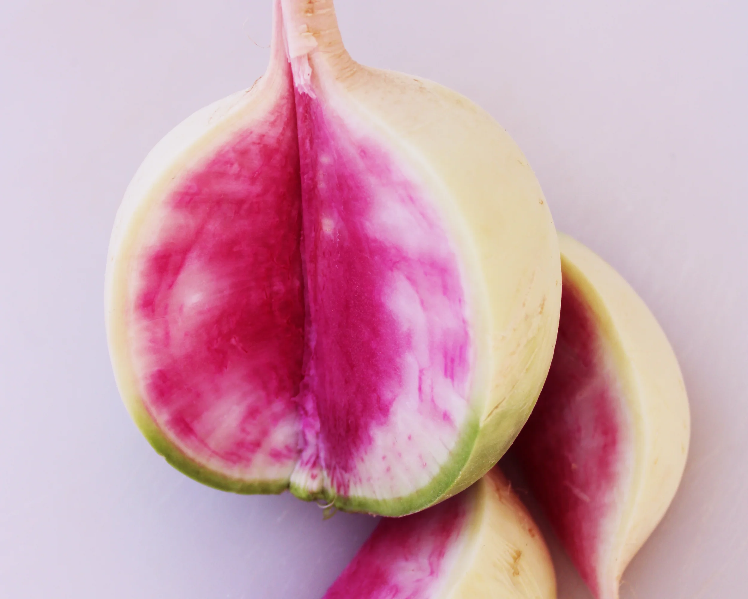 Watermelon Radish Seeds - Image 2