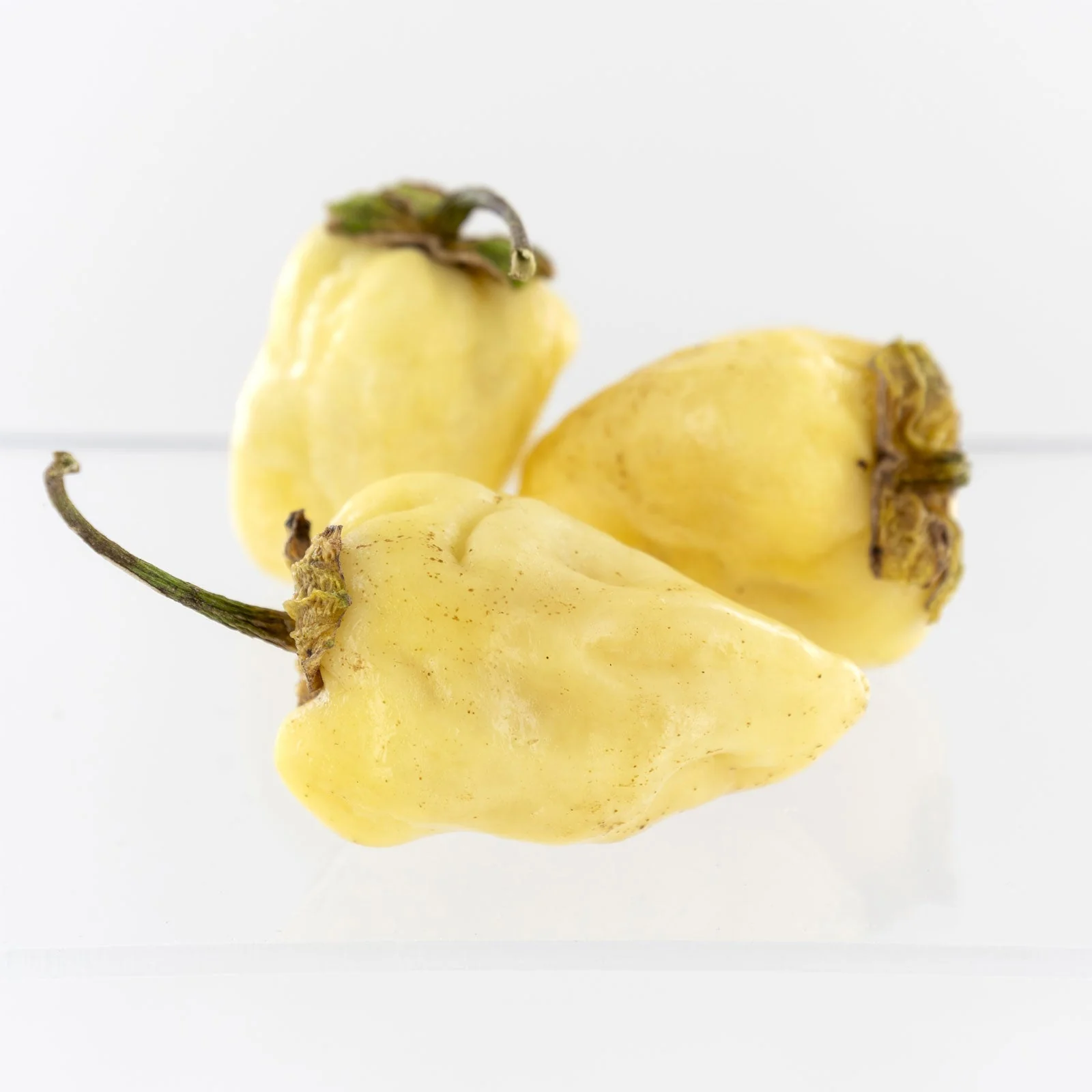 White 7 Pot Bubblegum Pepper Seeds (Non-Isolated) - Image 2