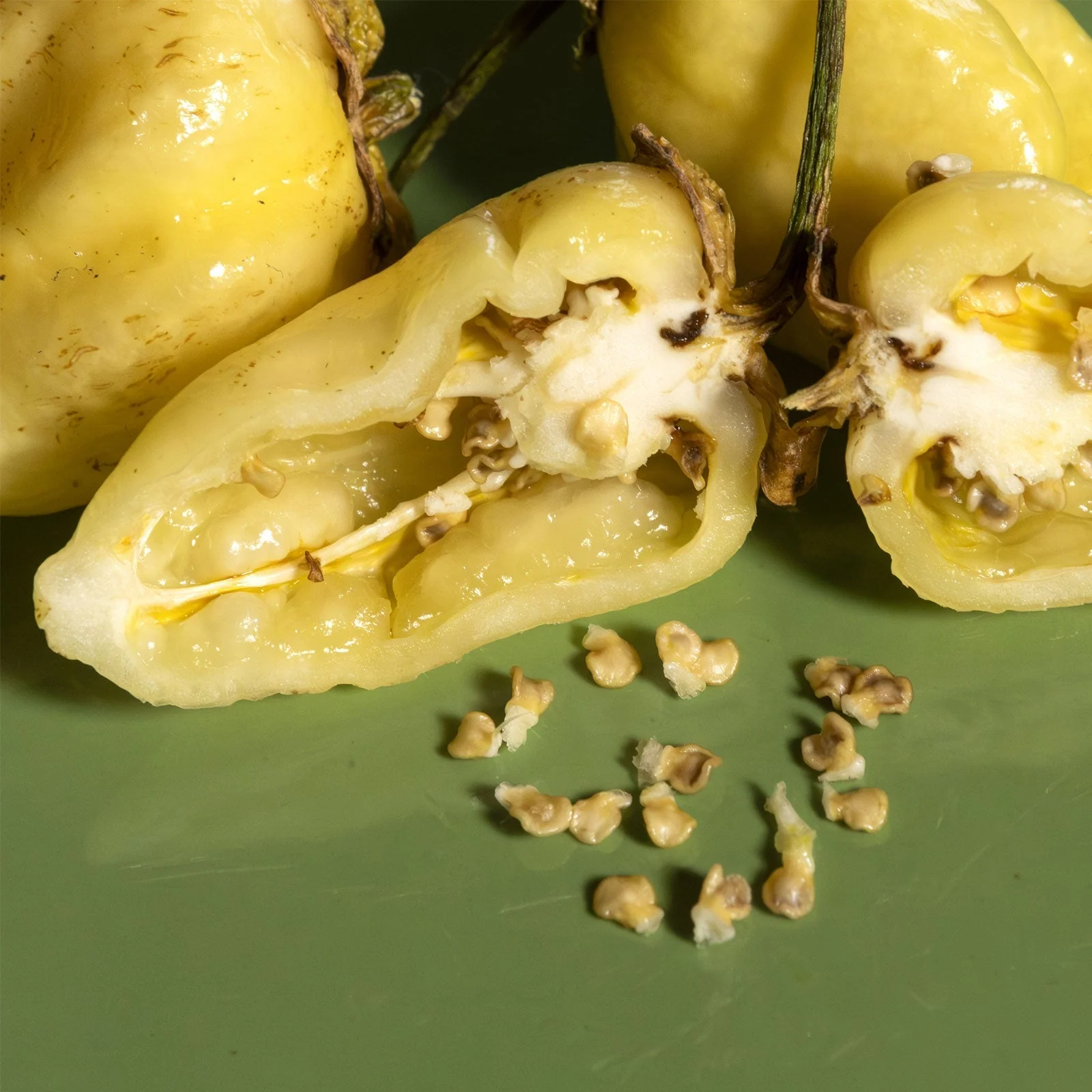 White 7 Pot Bubblegum Pepper Seeds (Non-Isolated) - Image 3