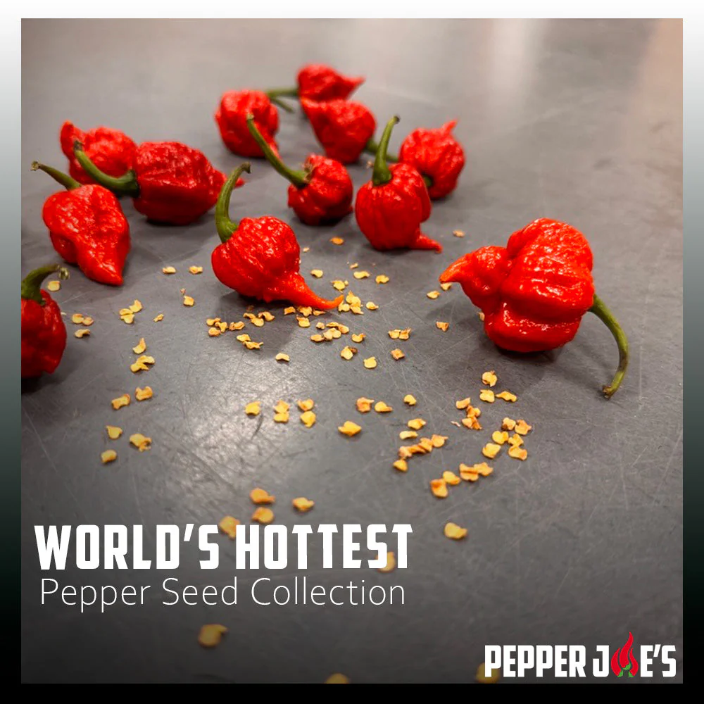 Worlds Hottest Pepper Seed Collection - Image 2