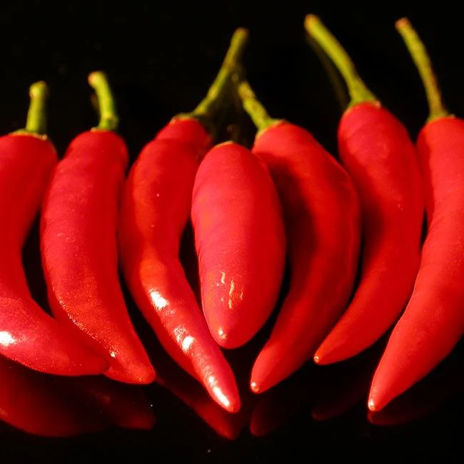 Yatzy or the Yatsufusa Pepper Seeds - Image 2