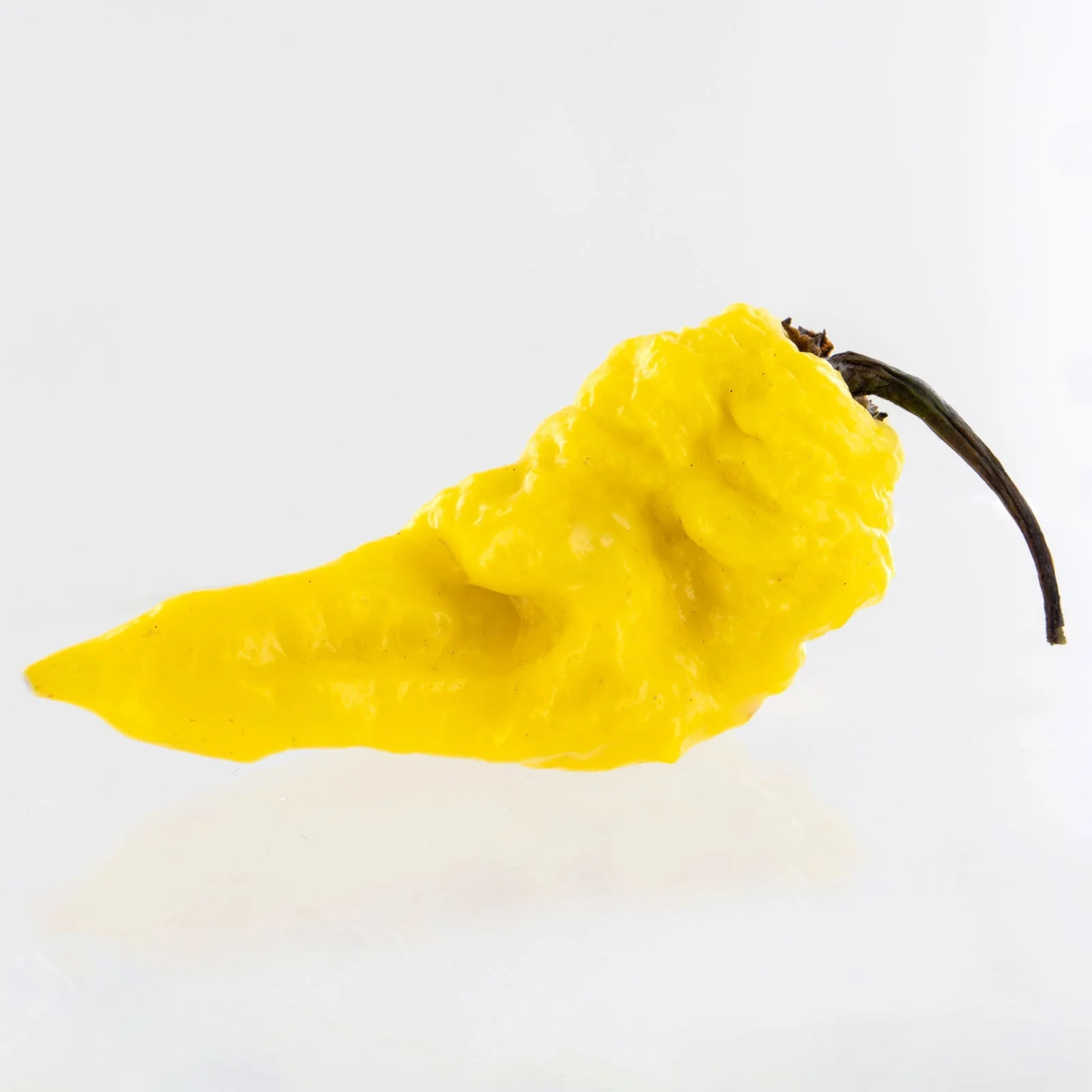 Yellow Fever Pepper Seeds - Image 2