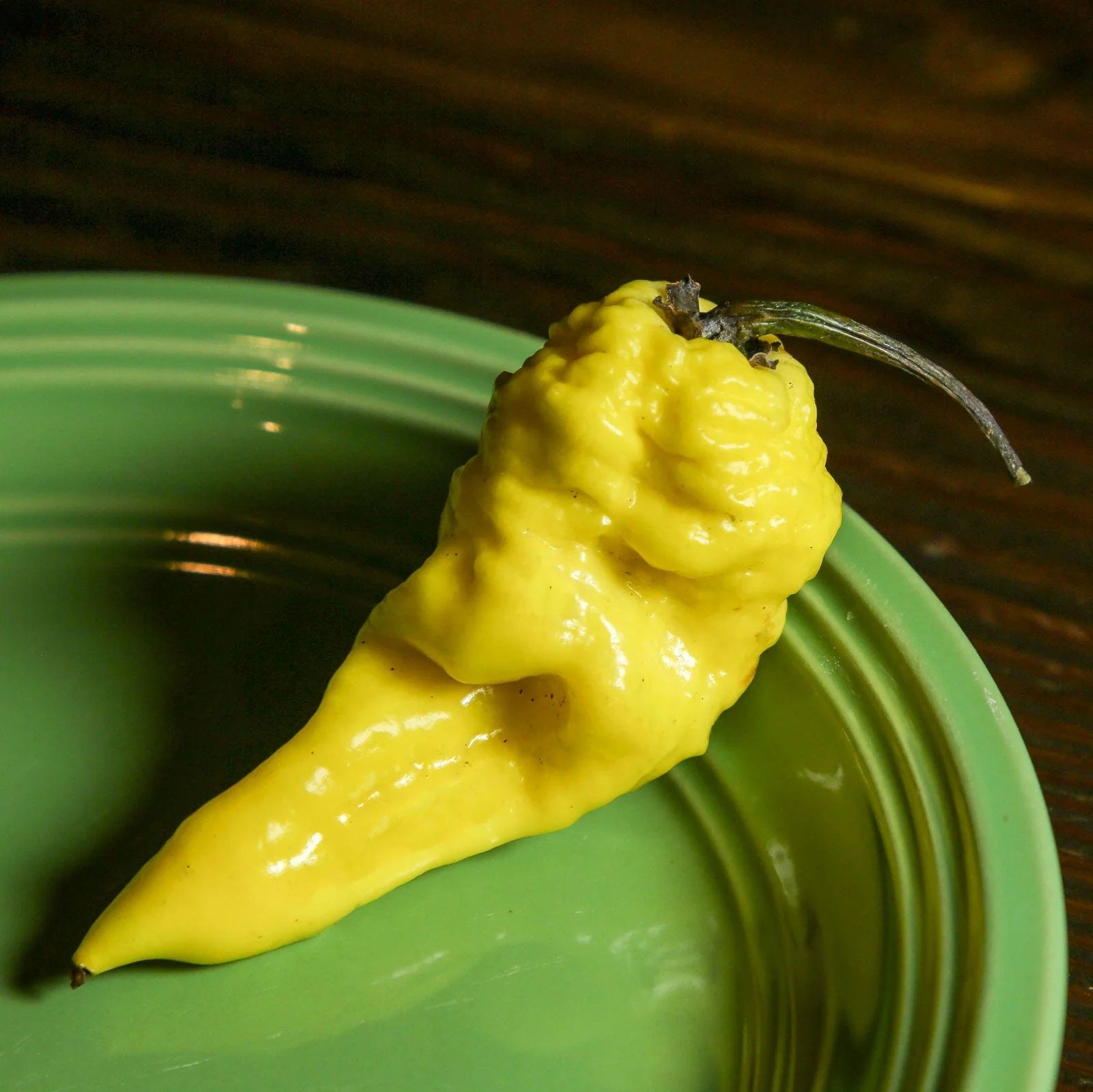 Yellow Fever Pepper Seeds - Image 3
